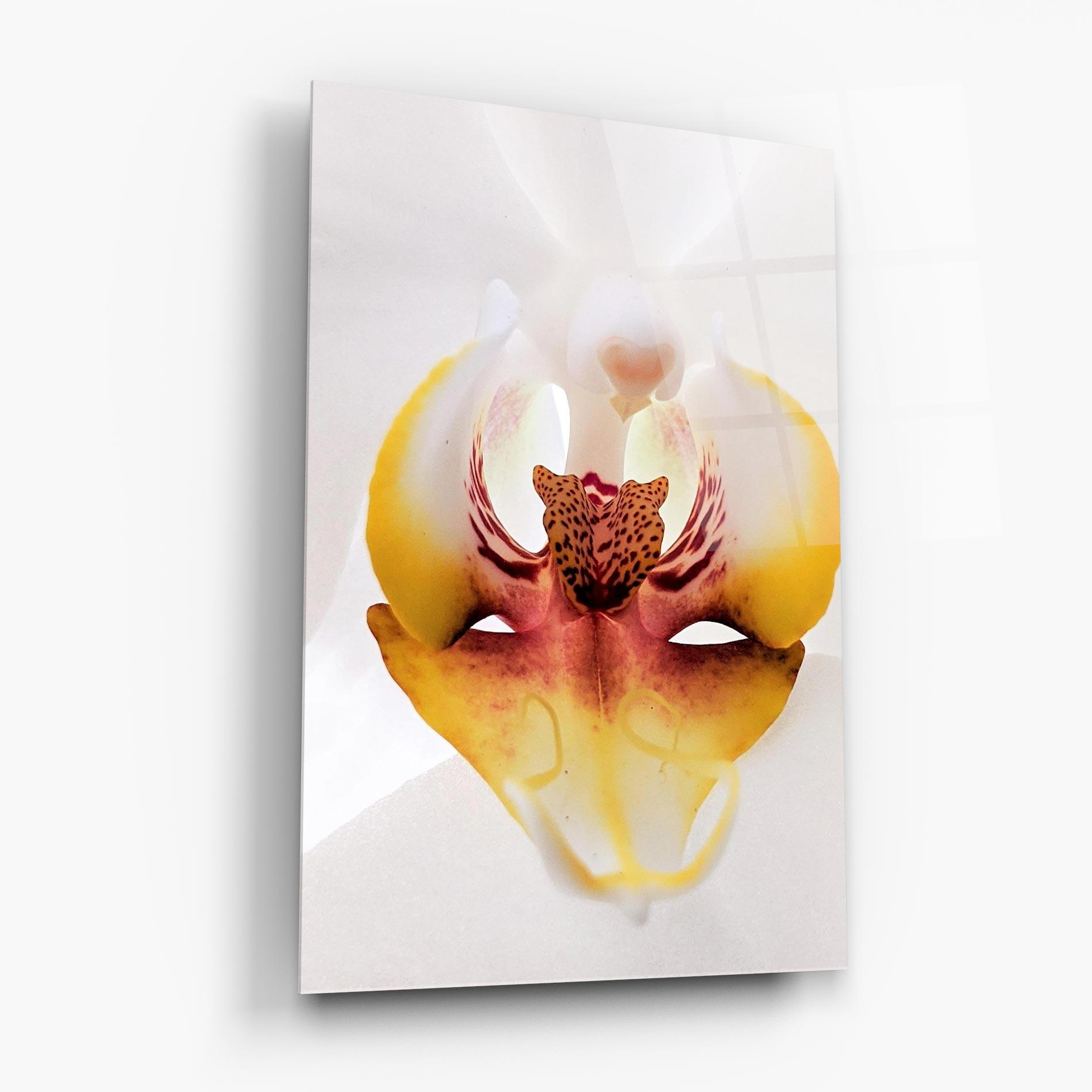 Glasbild Orchid Close Up mockup 6