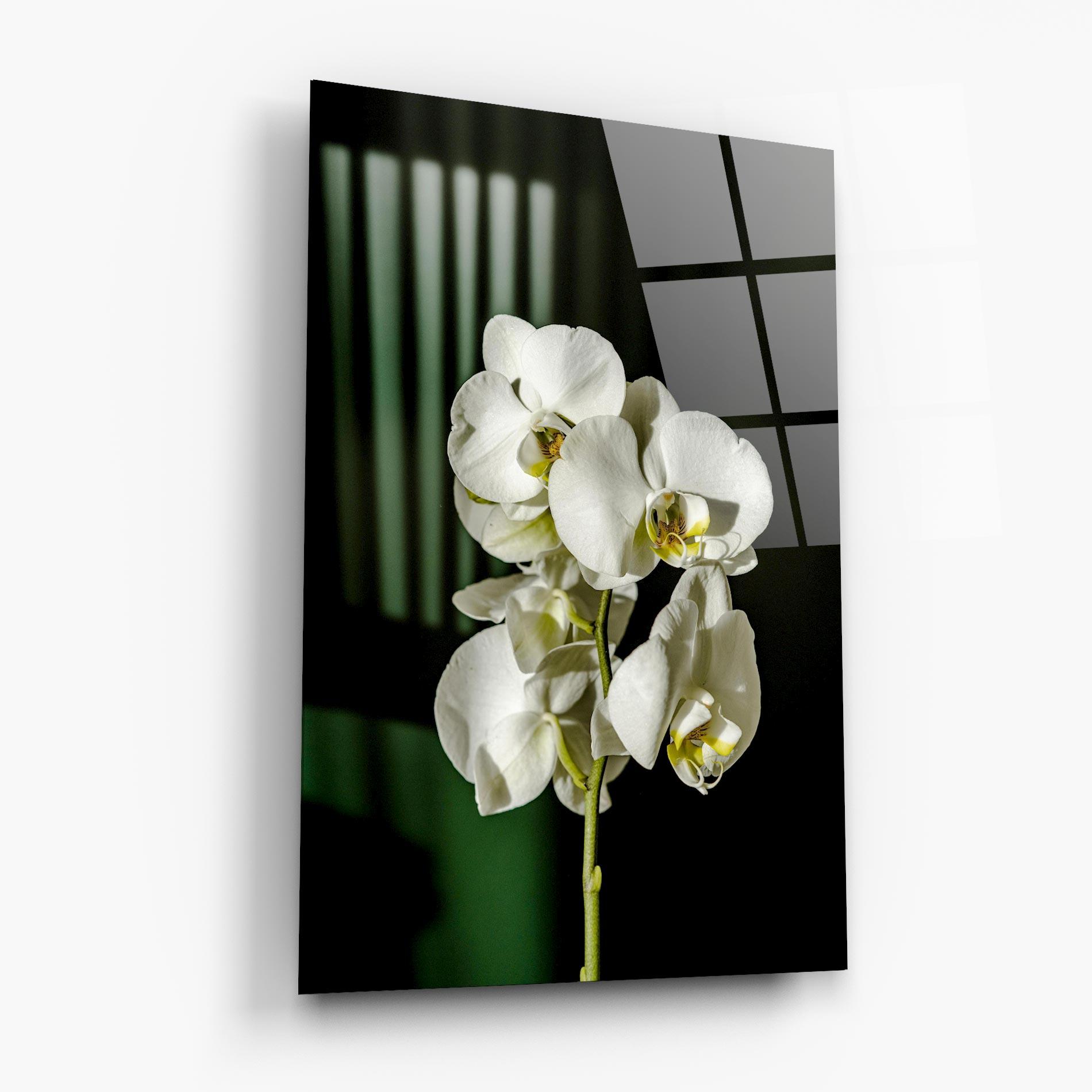 Glasbild Orchid On Green mockup 6