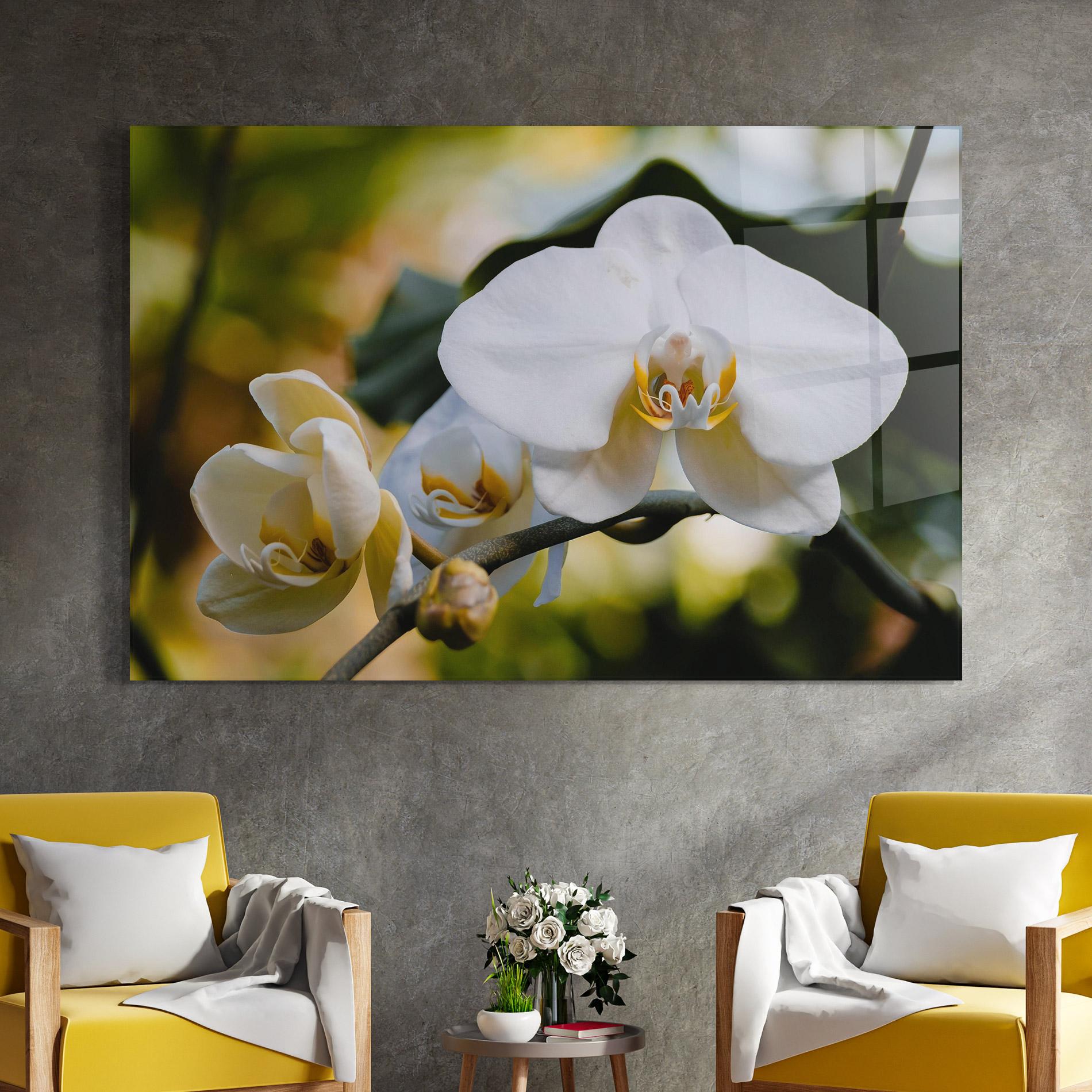 Glasbild Cream Orchid In Nature mockup 4