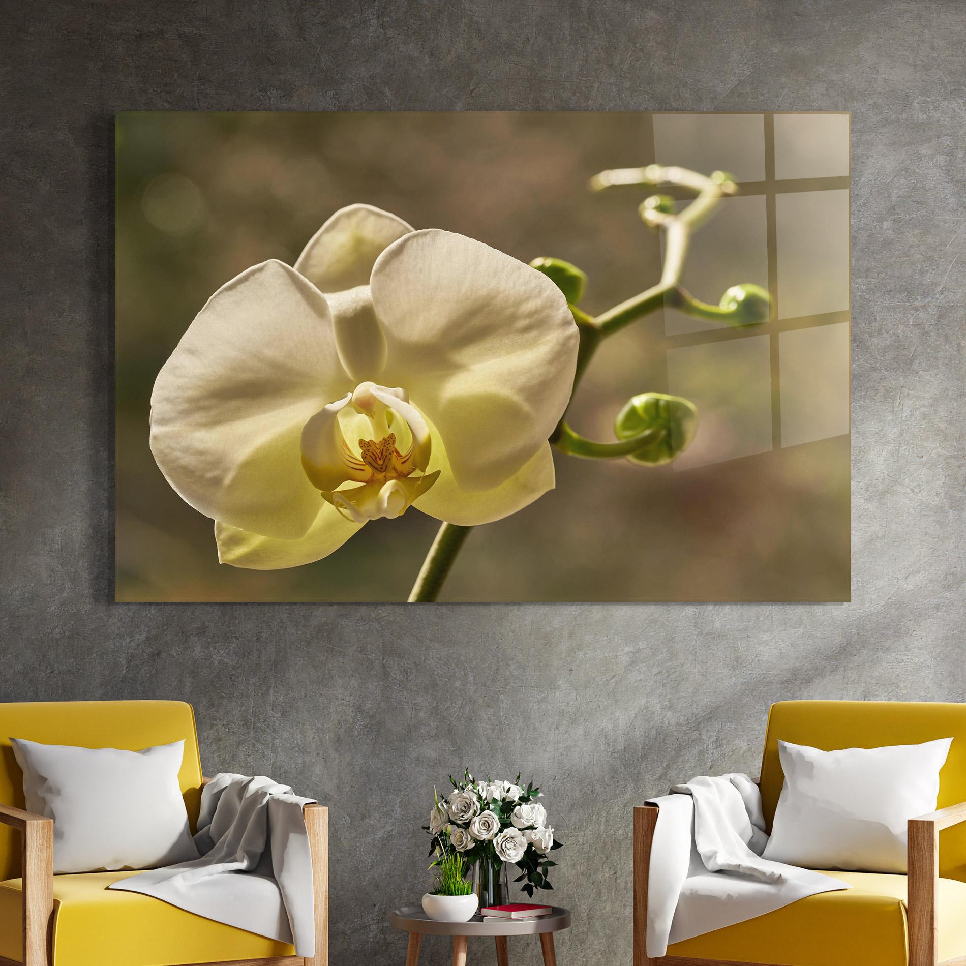 Glasbild Pastel Yellow Orchid In Garden mockup 4