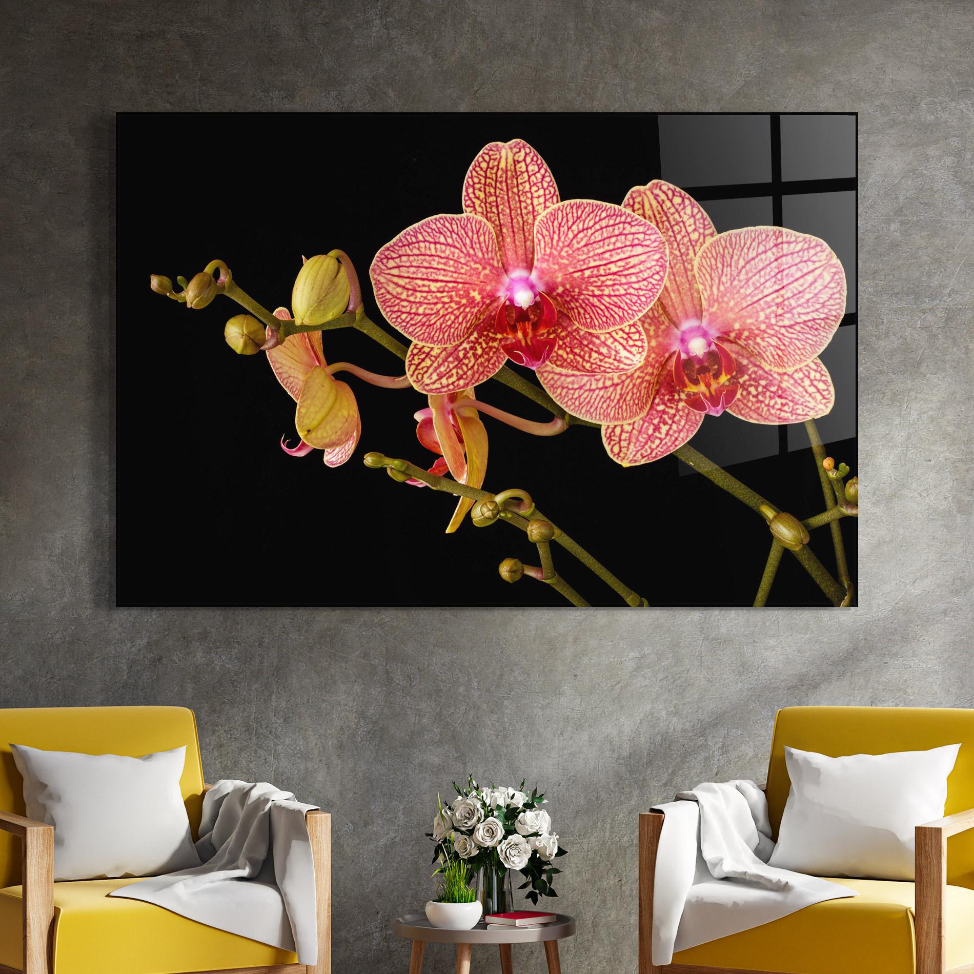 Glasbild Pink Orchids On Black mockup 4