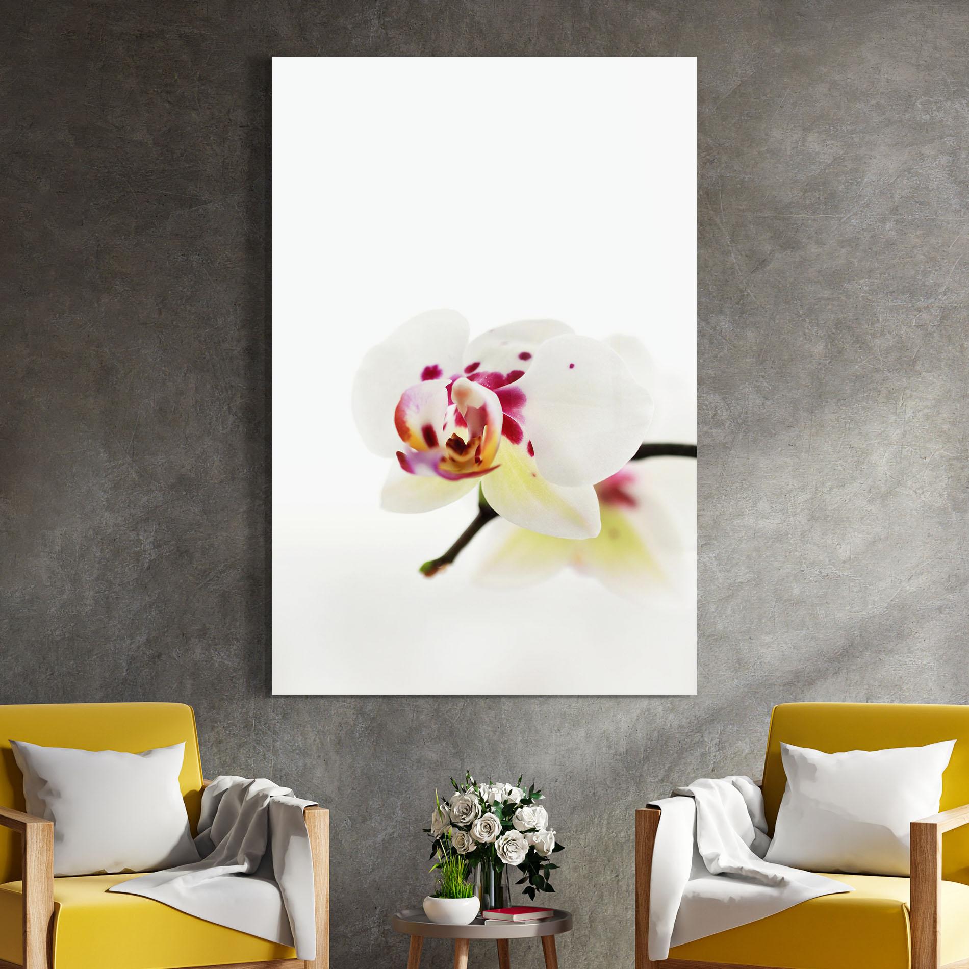 Glasbild Clean White Orchid mockup 4