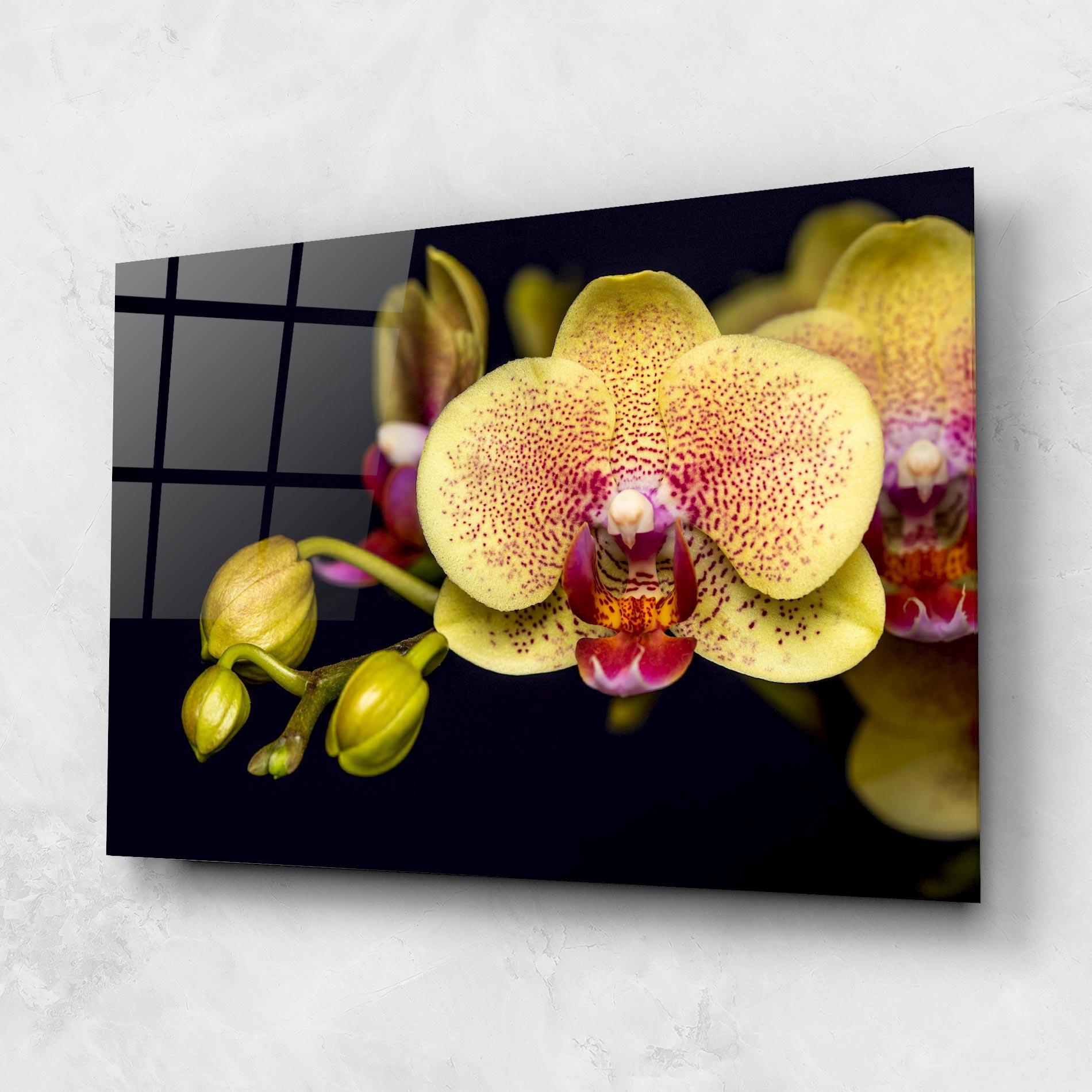 Glasbild Baby Orchid mockup 1