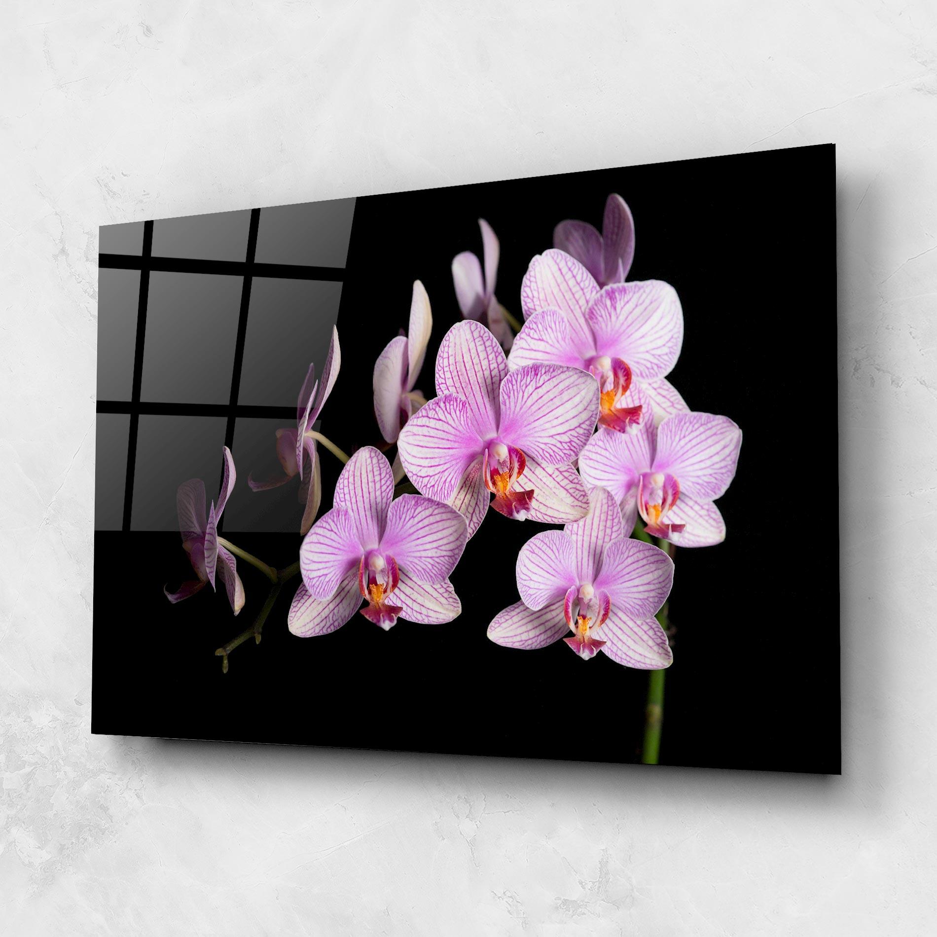 Glasbild Beautiful Orchids On Black mockup 1
