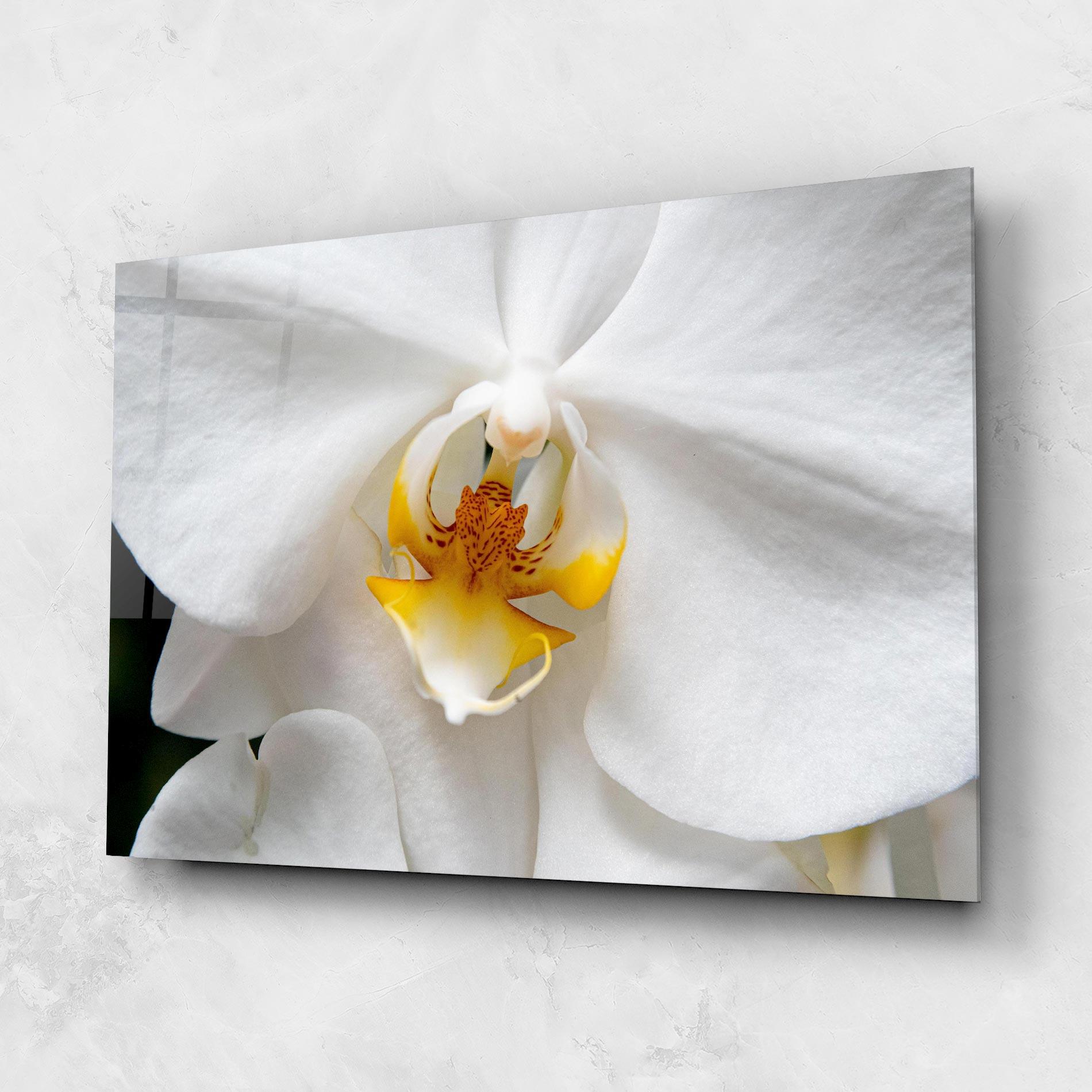 Glasbild Big Orchid Close Up mockup 1