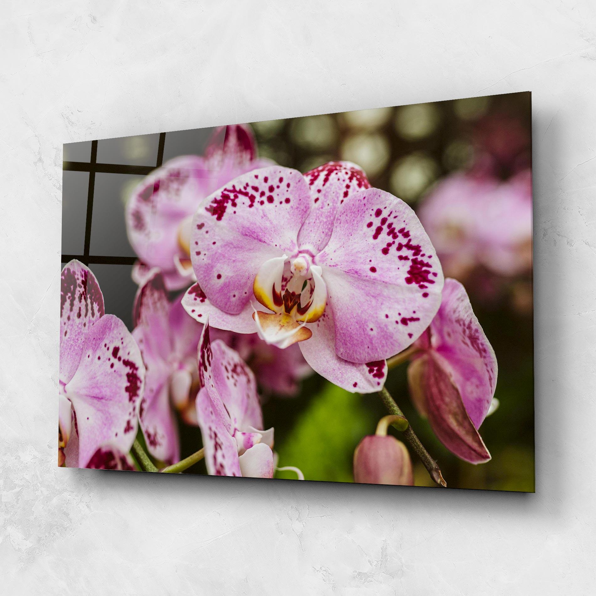 Glasbild Big Pink Orchid In Nature mockup 1