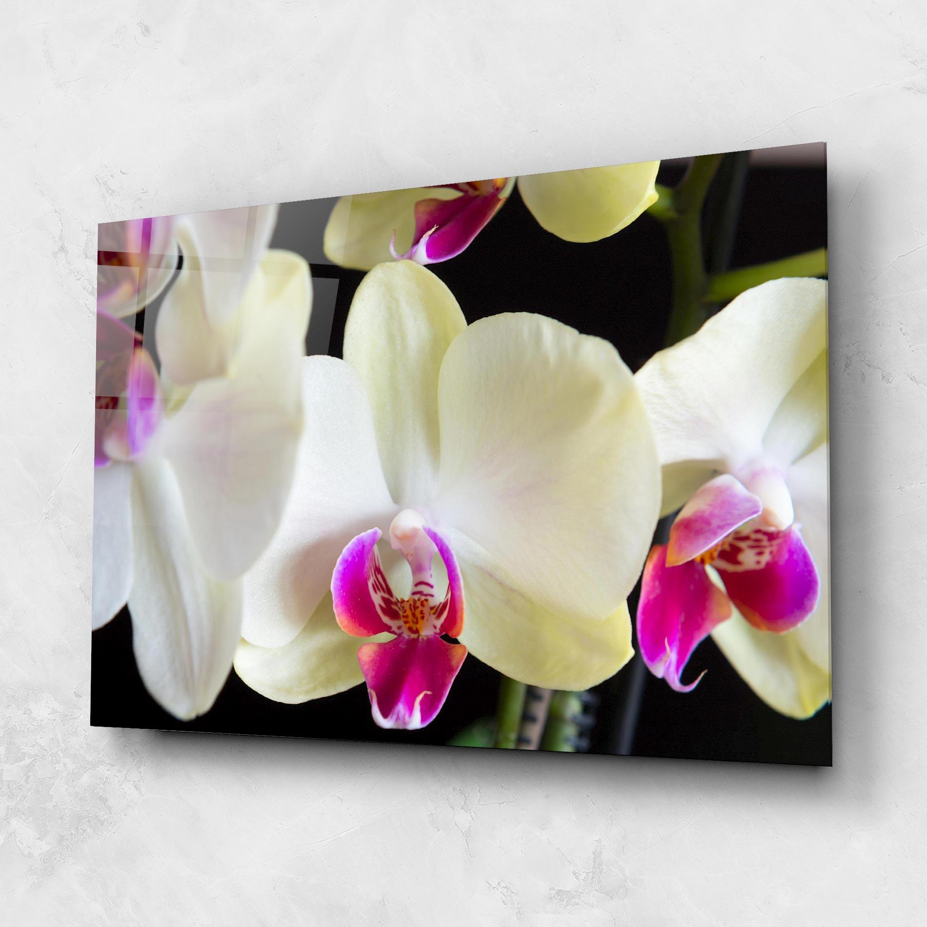 Glasbild Cream Purple Orchids mockup 1