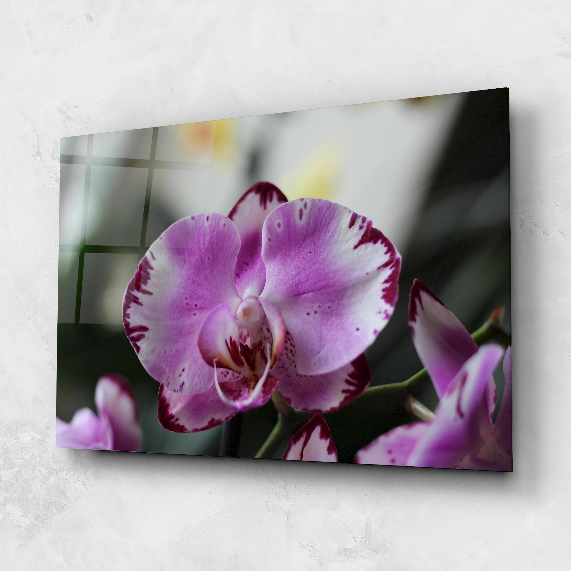Glasbild Dark Purple Orchids In Nature mockup 1