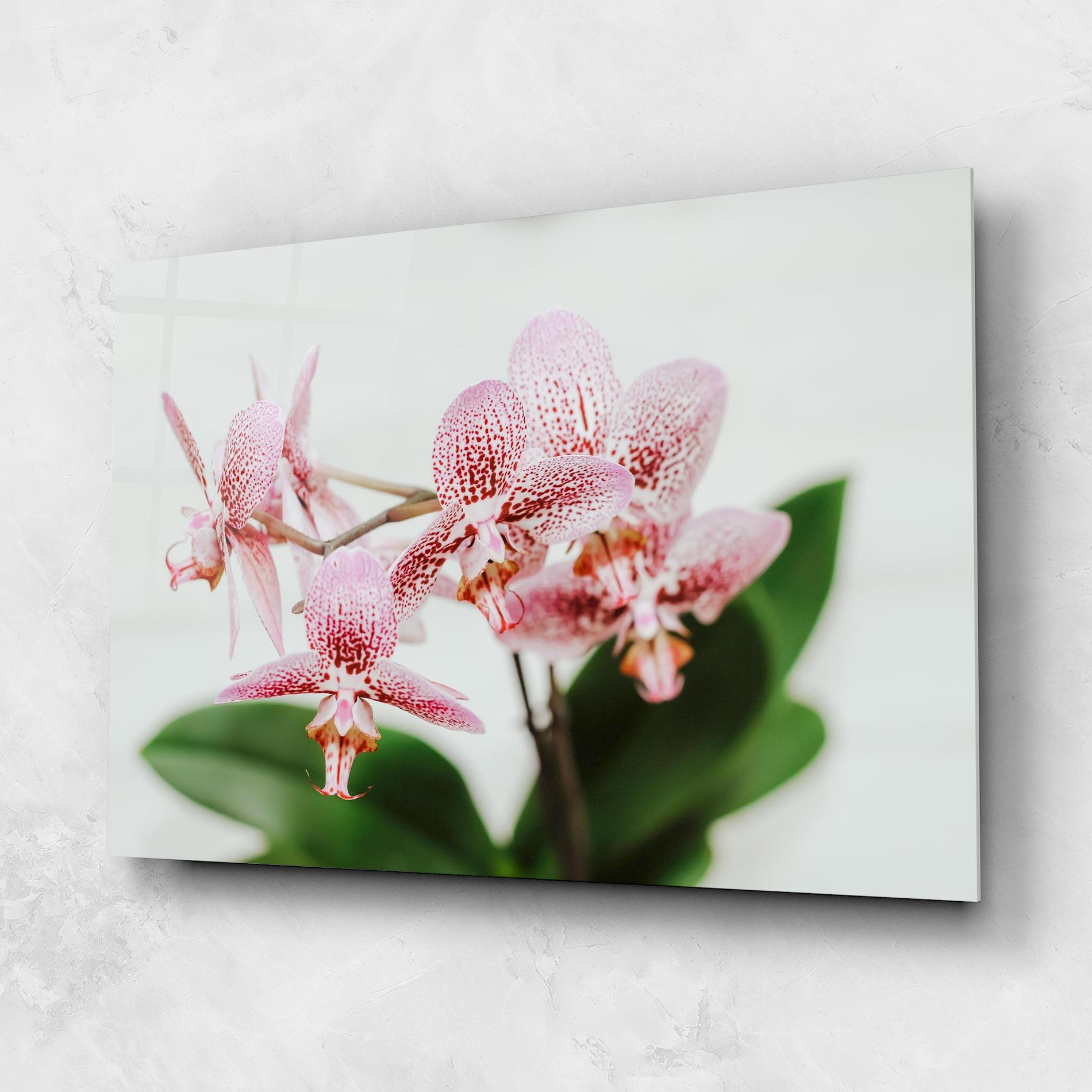 Glasbild Green Orchids mockup 1