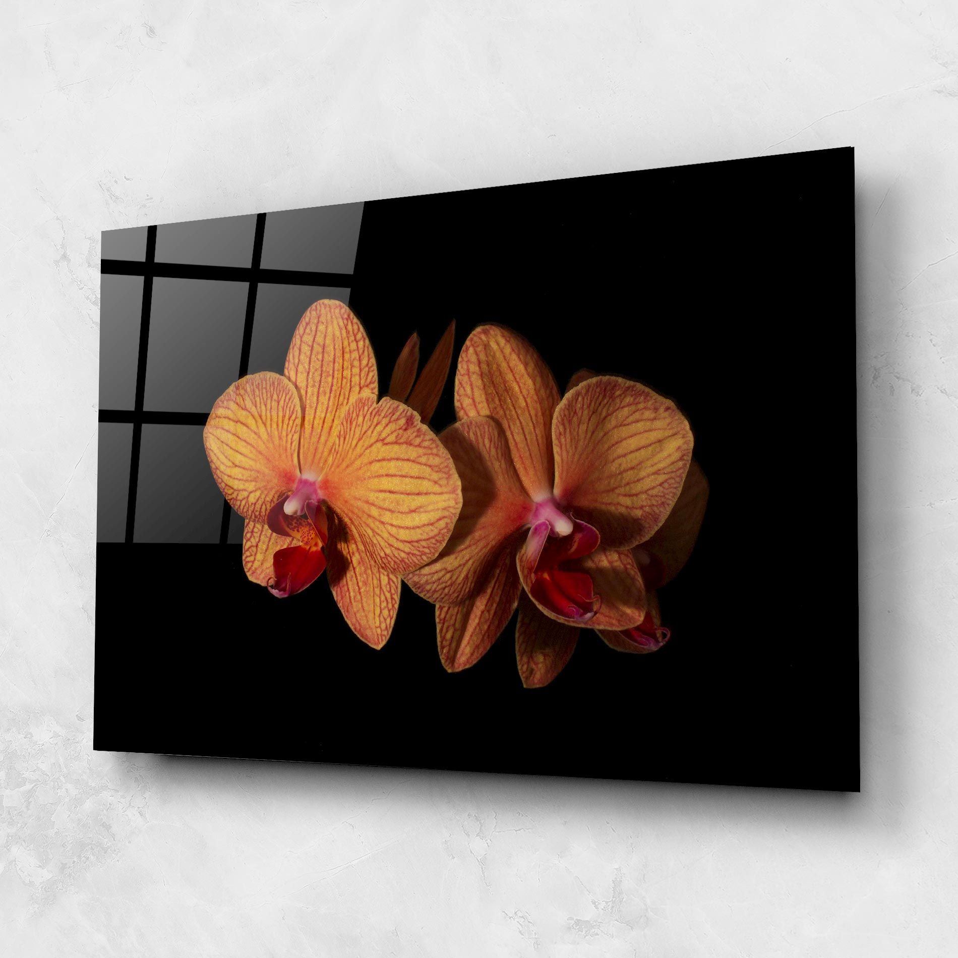Light Orange Orchid mockup 1