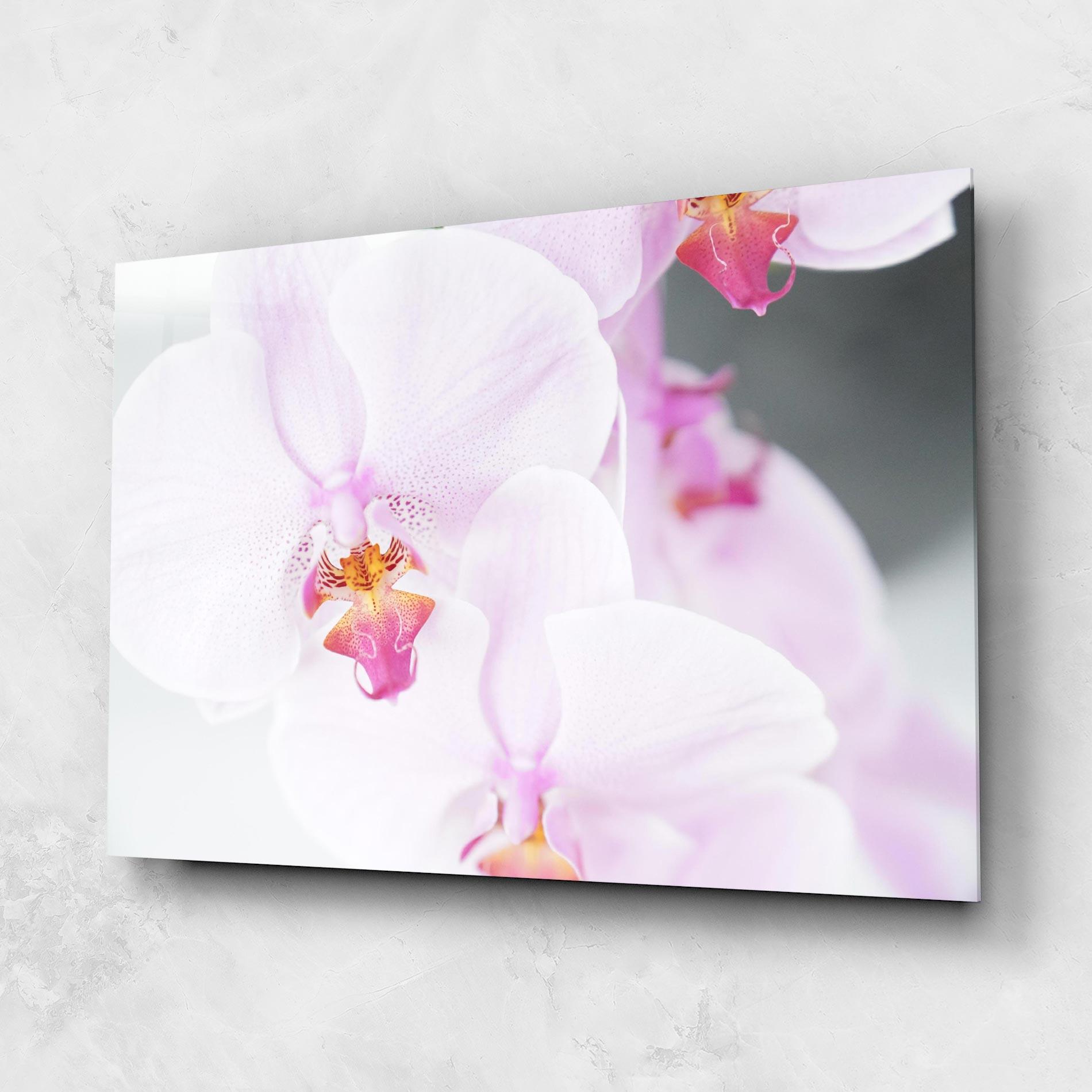 Glasbild Light Purple Orchid mockup 1