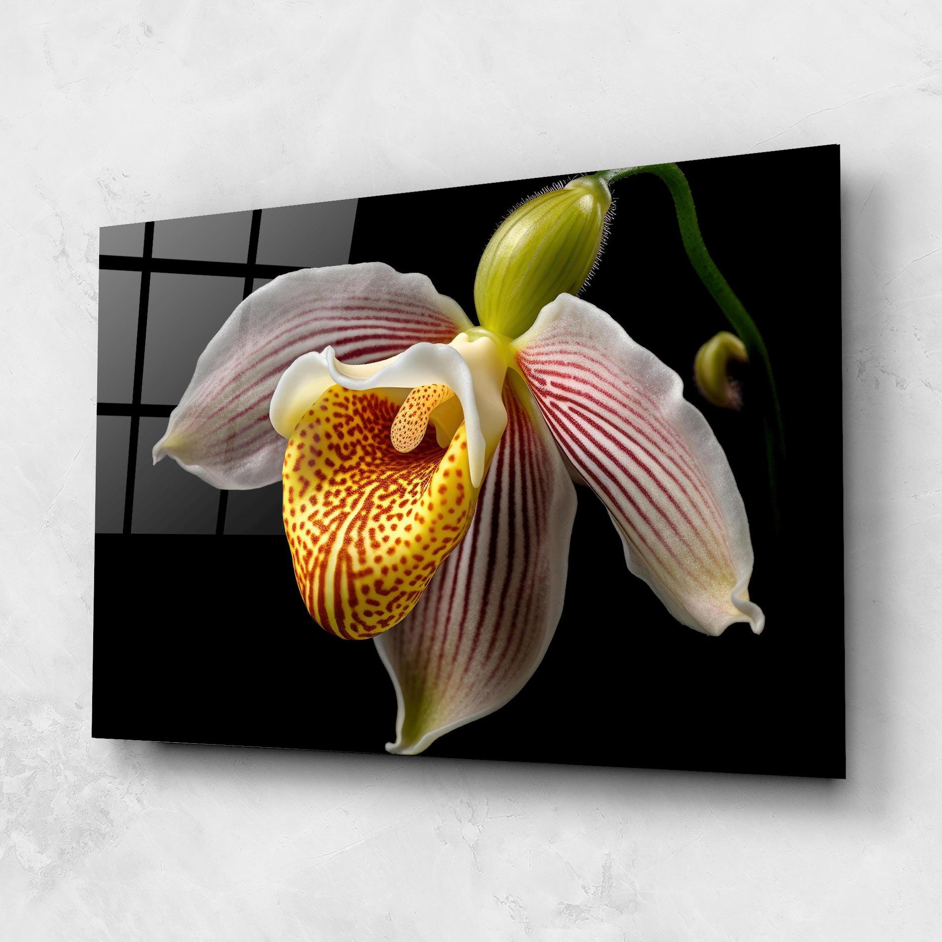Glasbild Orchid On Black mockup 1