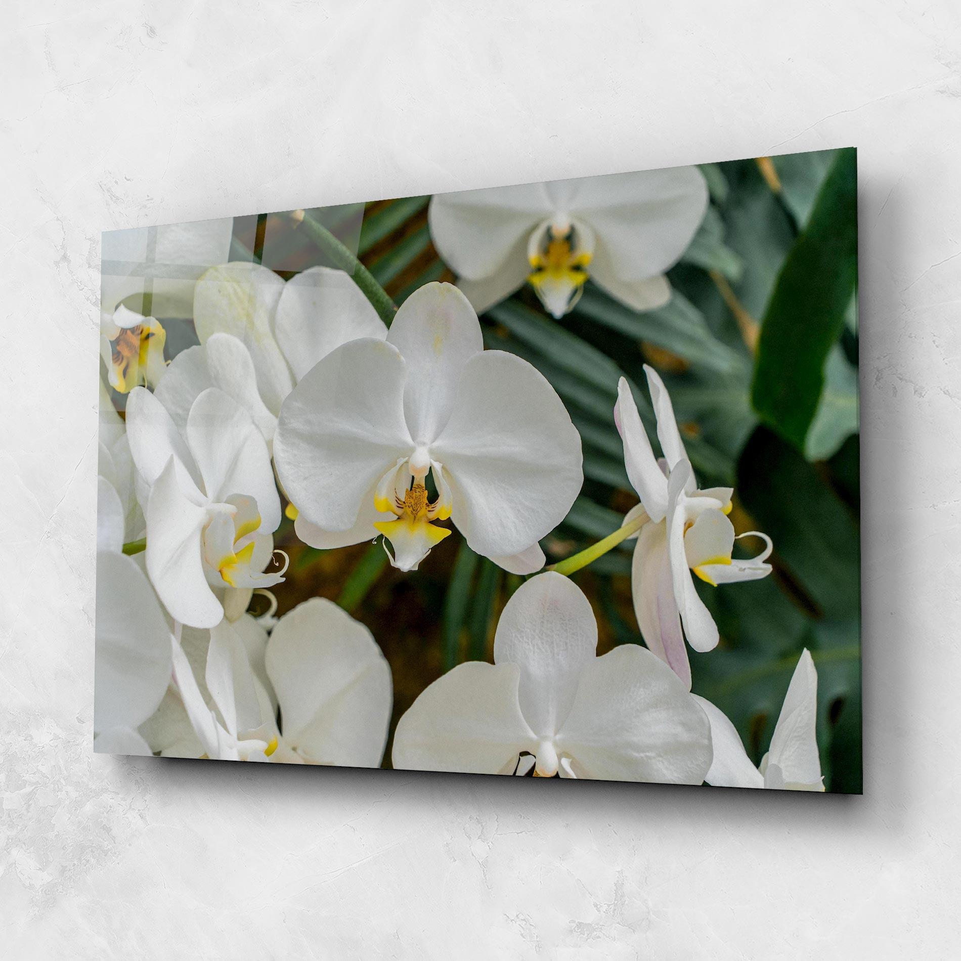 Glasbild Orchids In Nature mockup 1