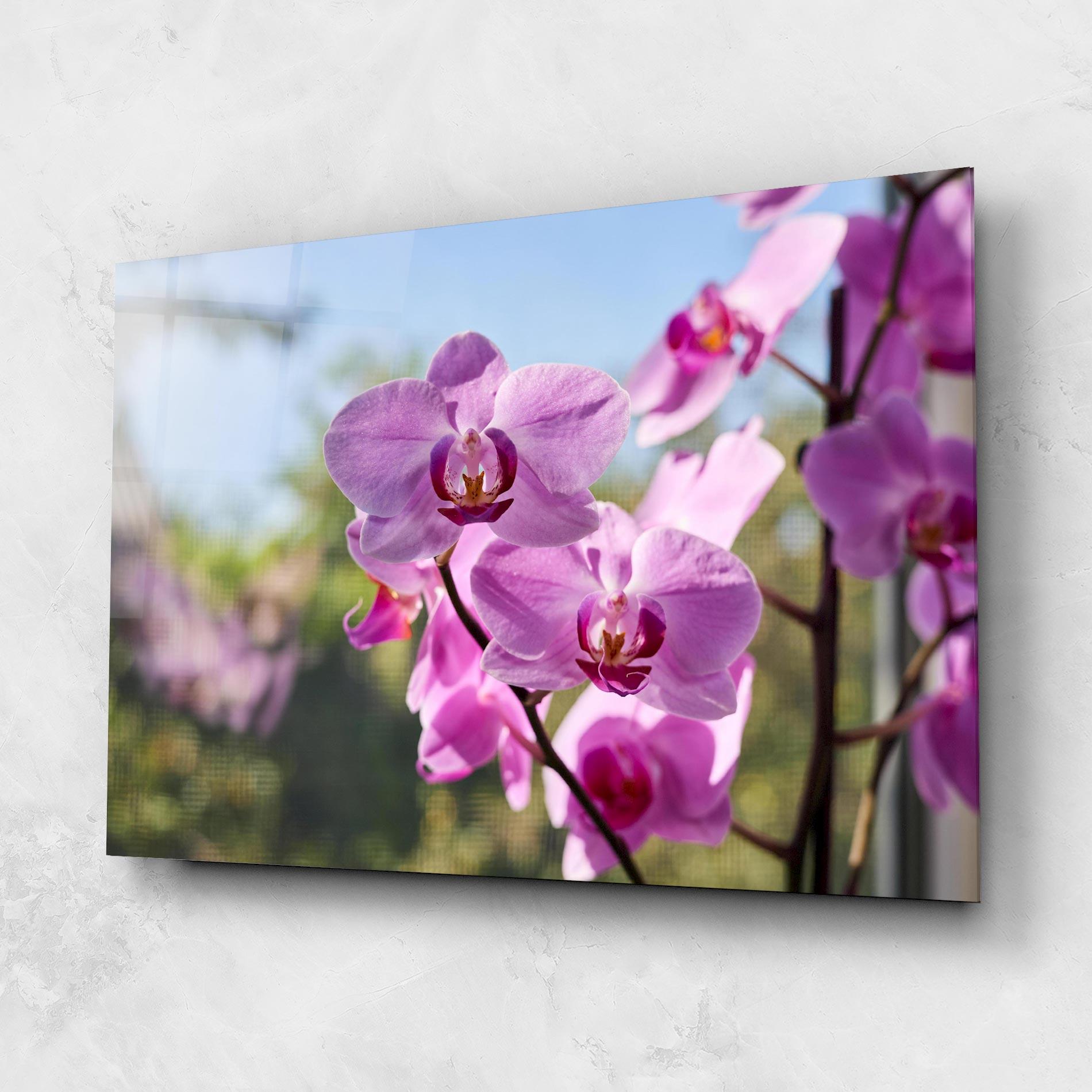 Glasbild Orchids In The Garden mockup 1