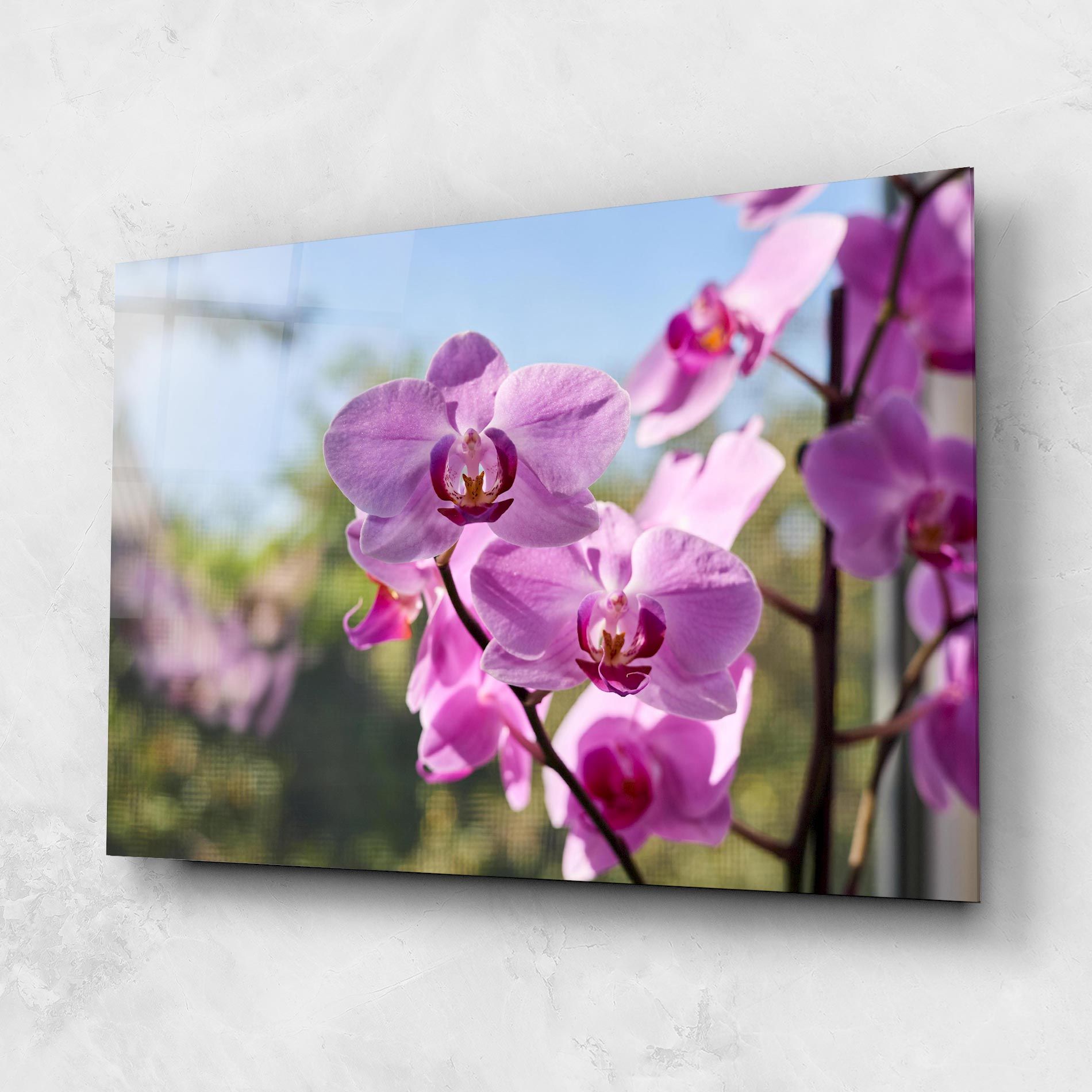 Orchids In The Garden mockup 1