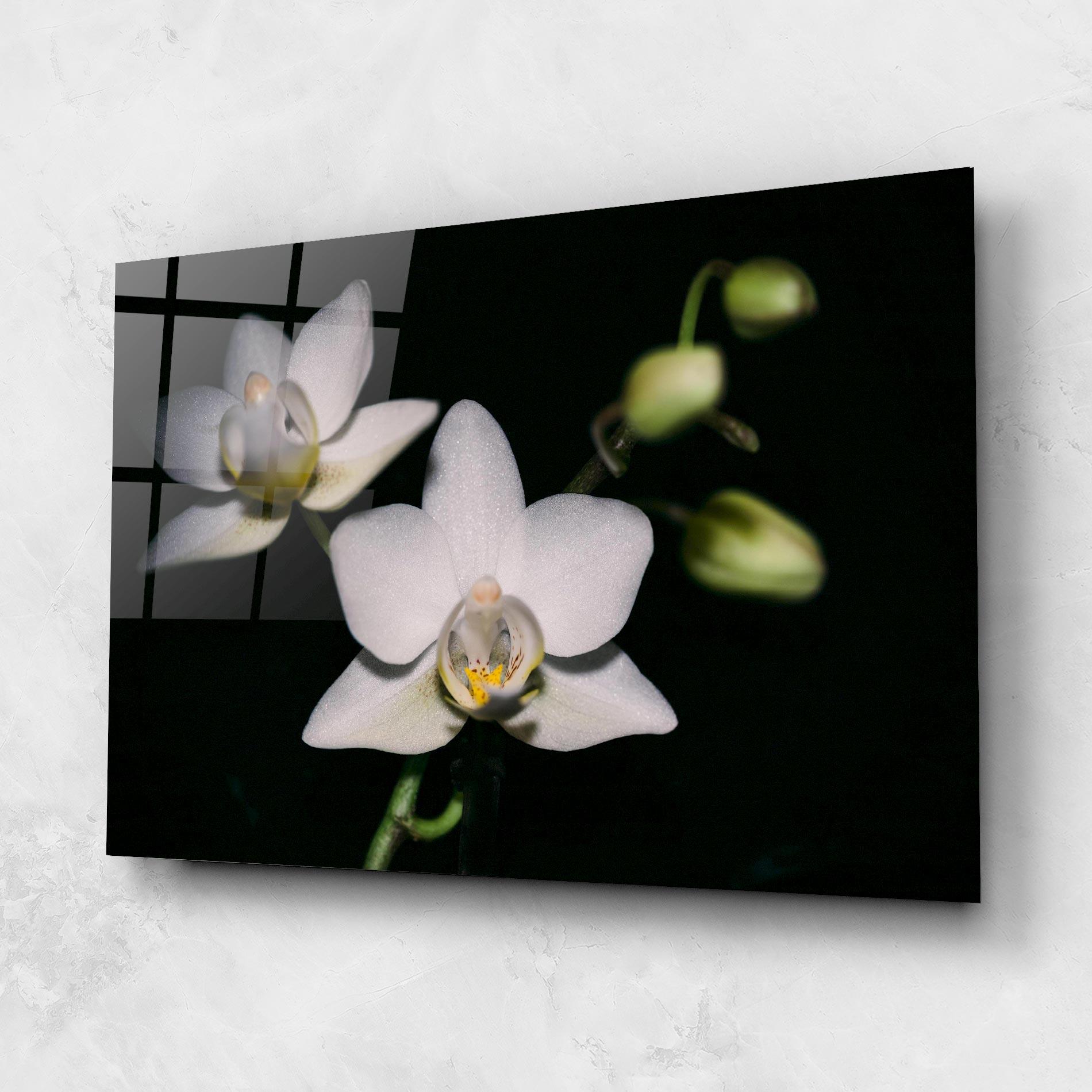 Glasbild Orchids On Black mockup 1