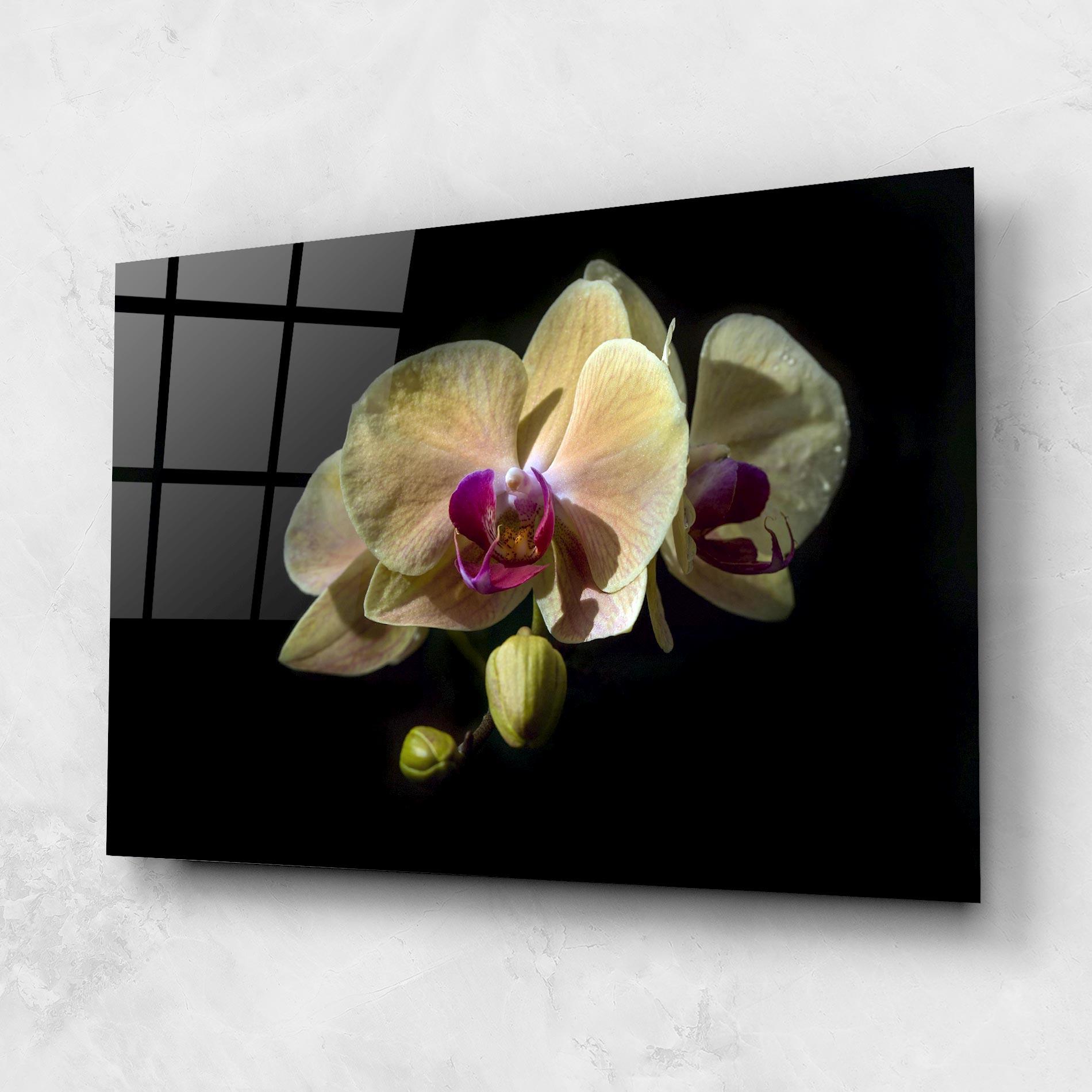 Glasbild Pastel Yellow Orchids mockup 1
