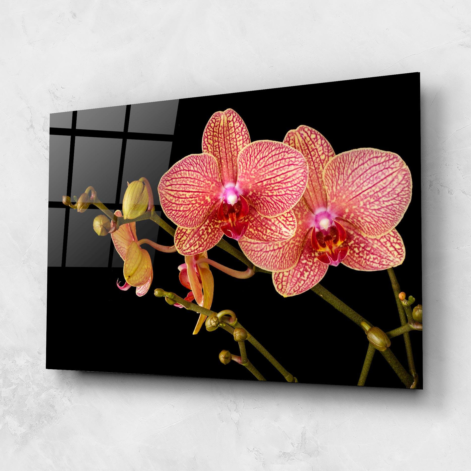 Glasbild Pink Orchids On Black mockup 1