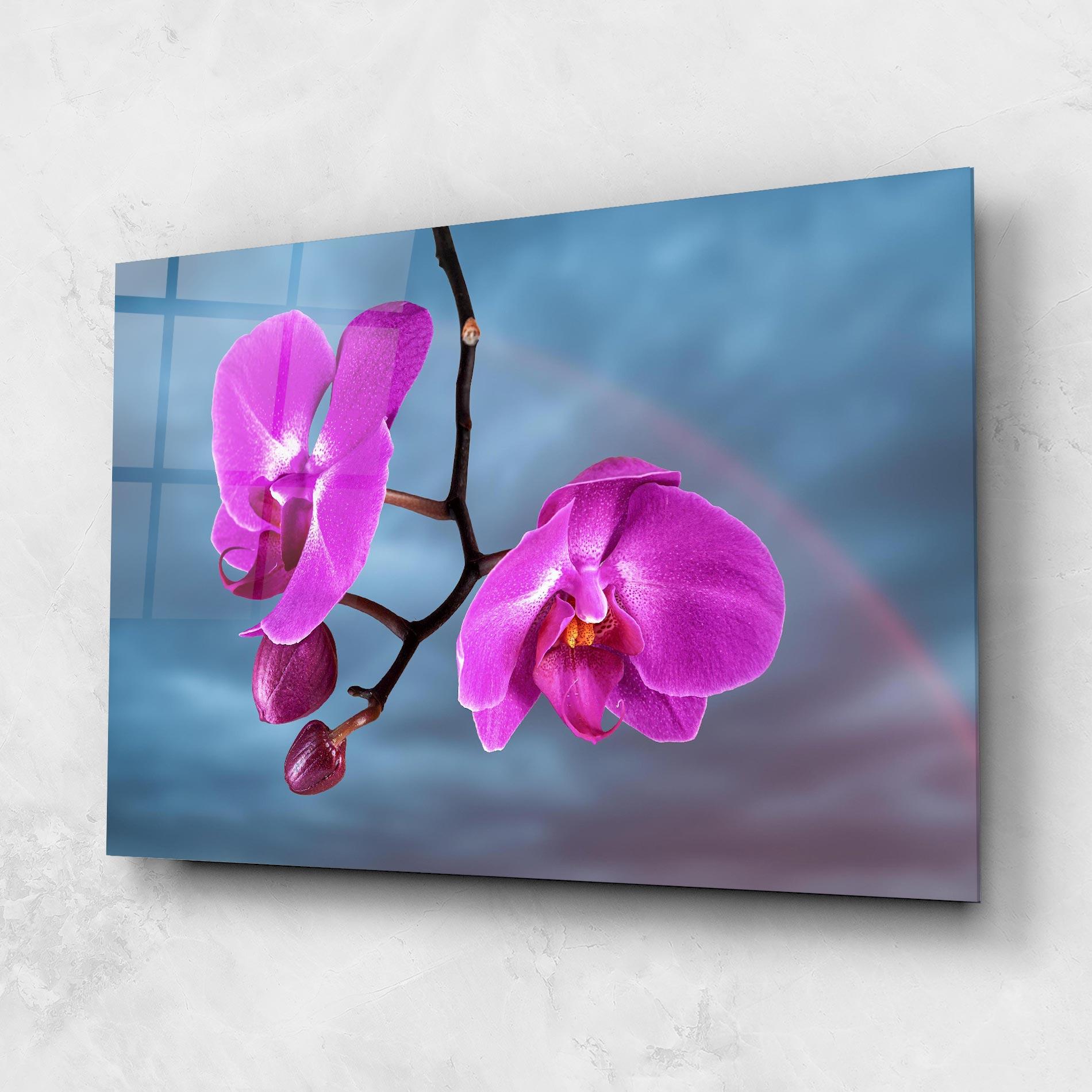 Glasbild Sky Purple Orchid mockup 1