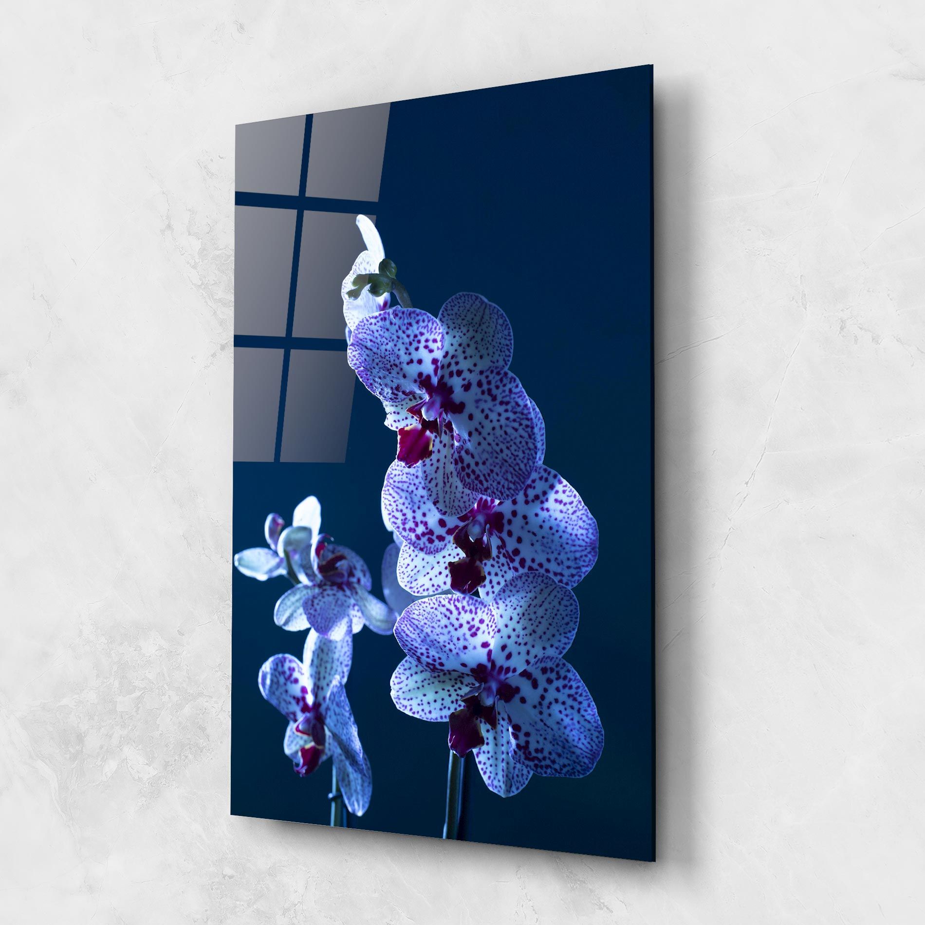 Blue Light Orchid mockup 1