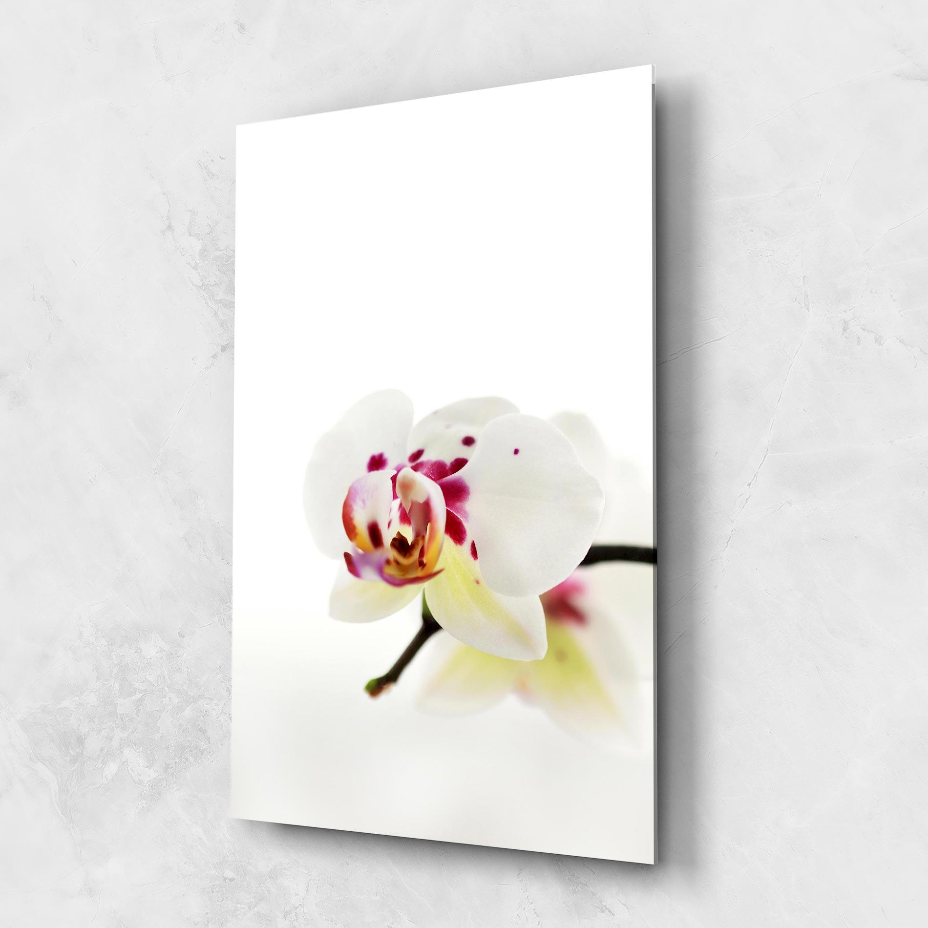 Glasbild Clean White Orchid mockup 1