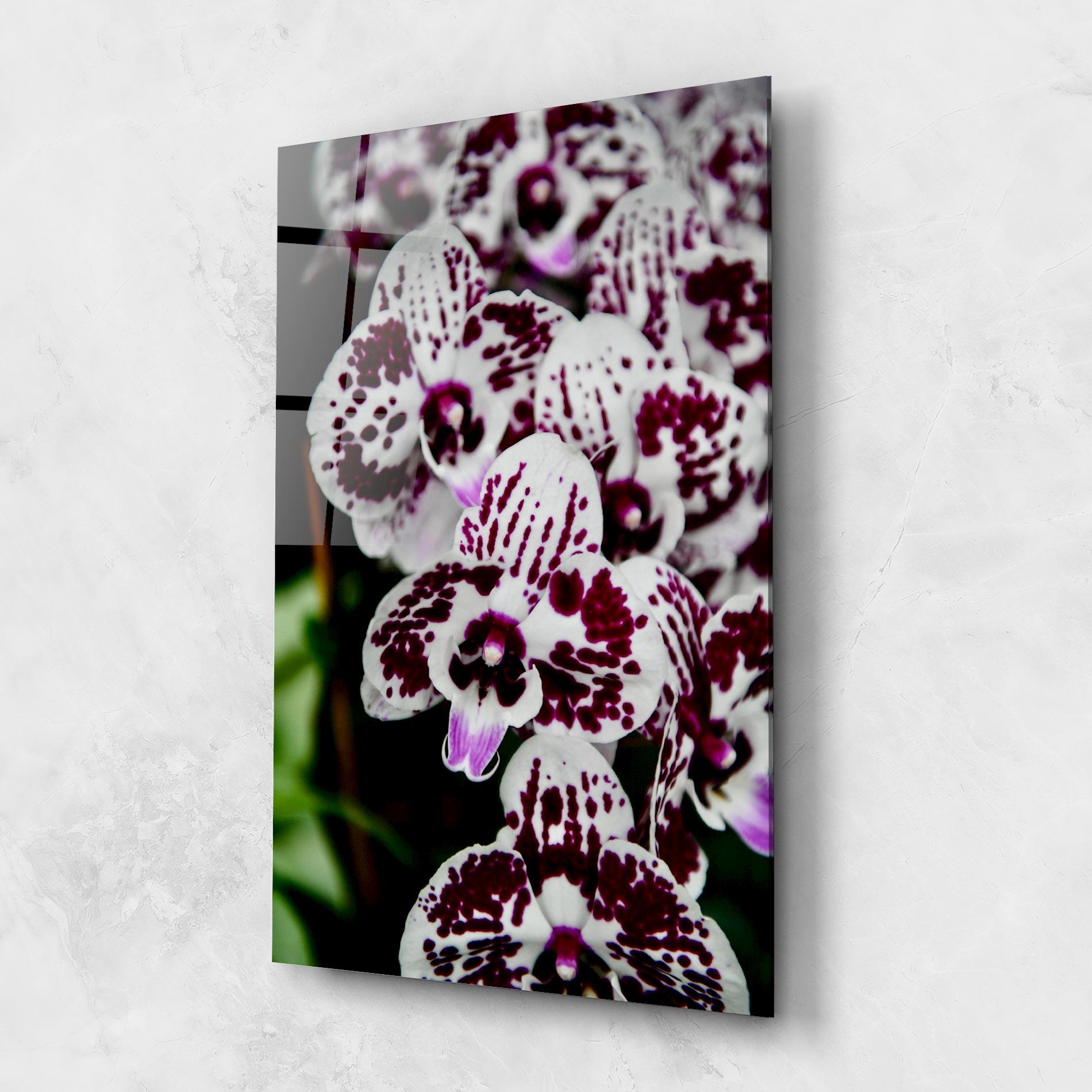 Glasbild Dark Purple Orchids mockup 1
