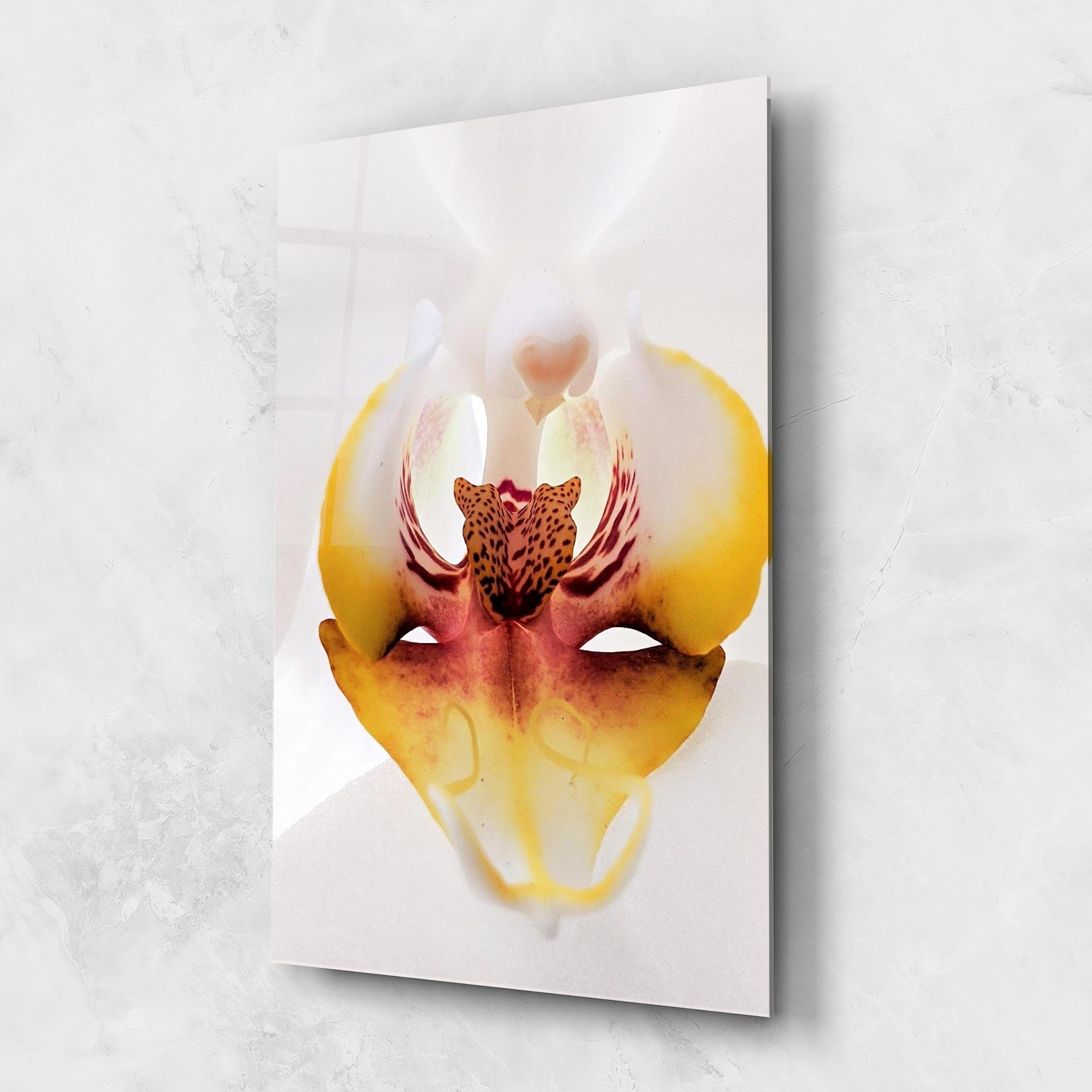 Glasbild Orchid Close Up mockup 1