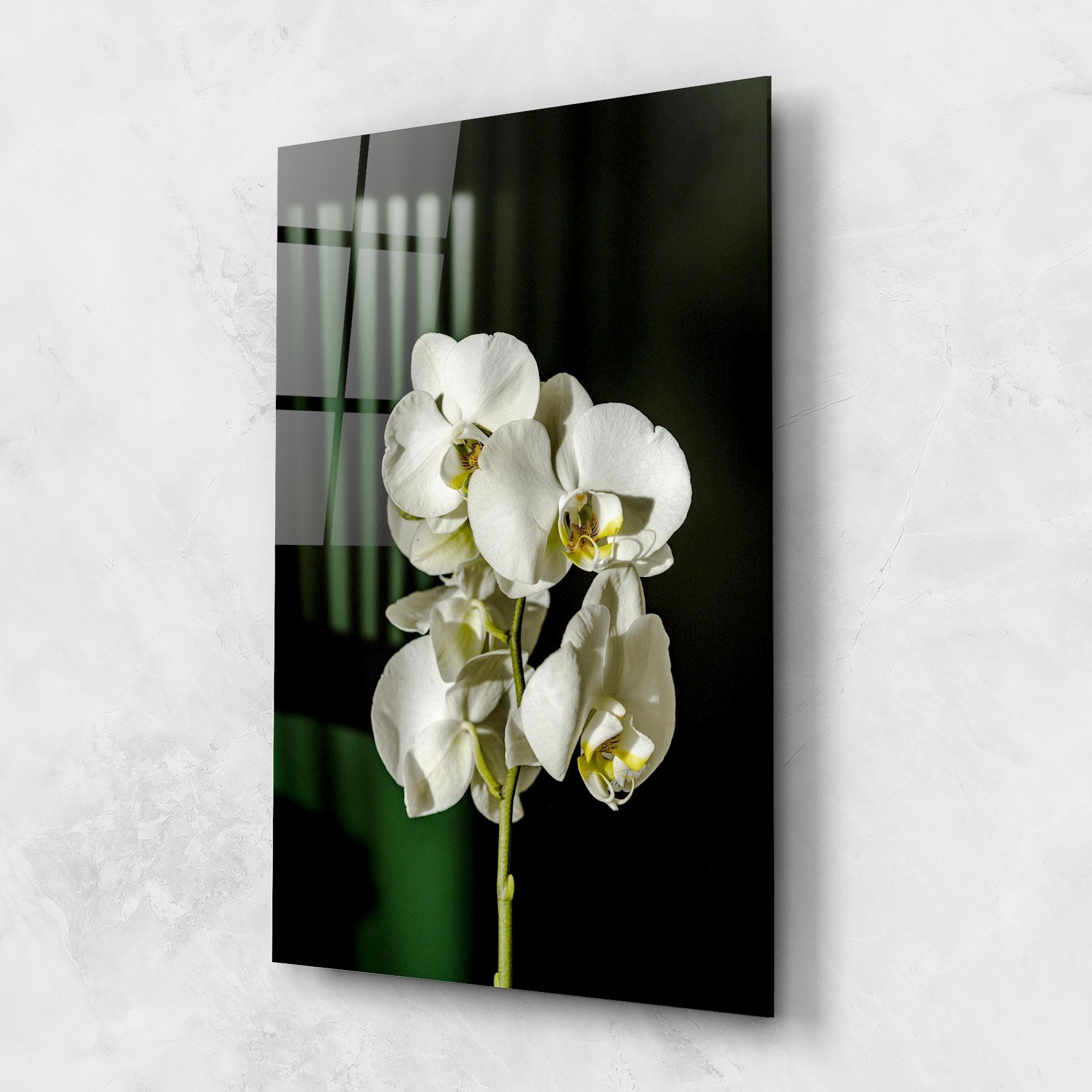 Glasbild Orchid On Green mockup 1