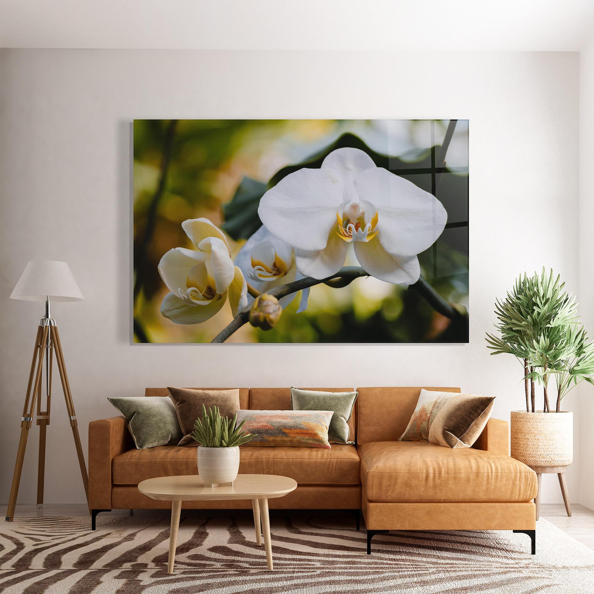 Glasbild Cream Orchid In Nature mockup 7