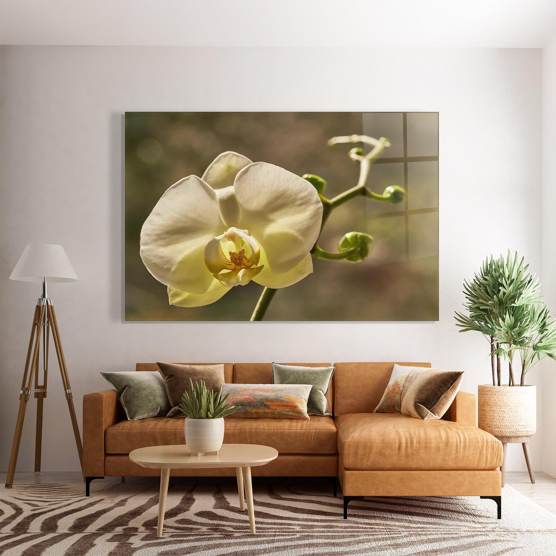 Glasbild Pastel Yellow Orchid In Garden mockup 7