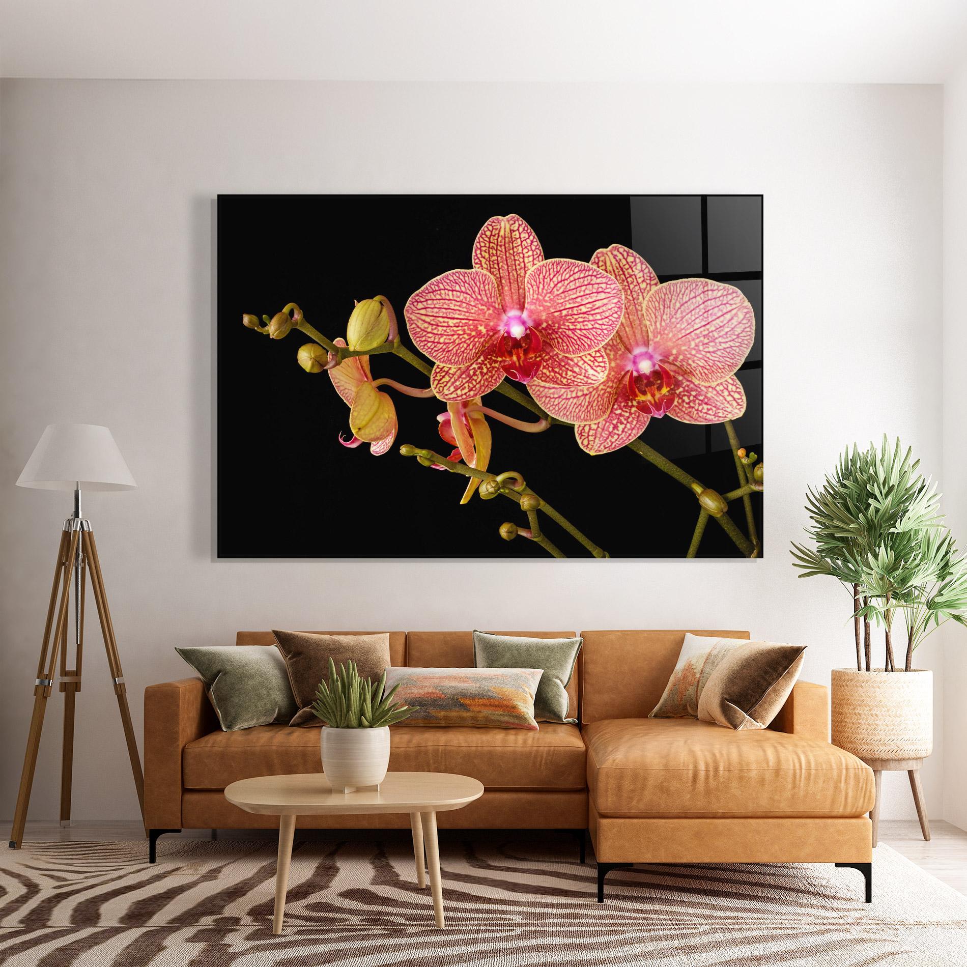 Glasbild Pink Orchids On Black mockup 7