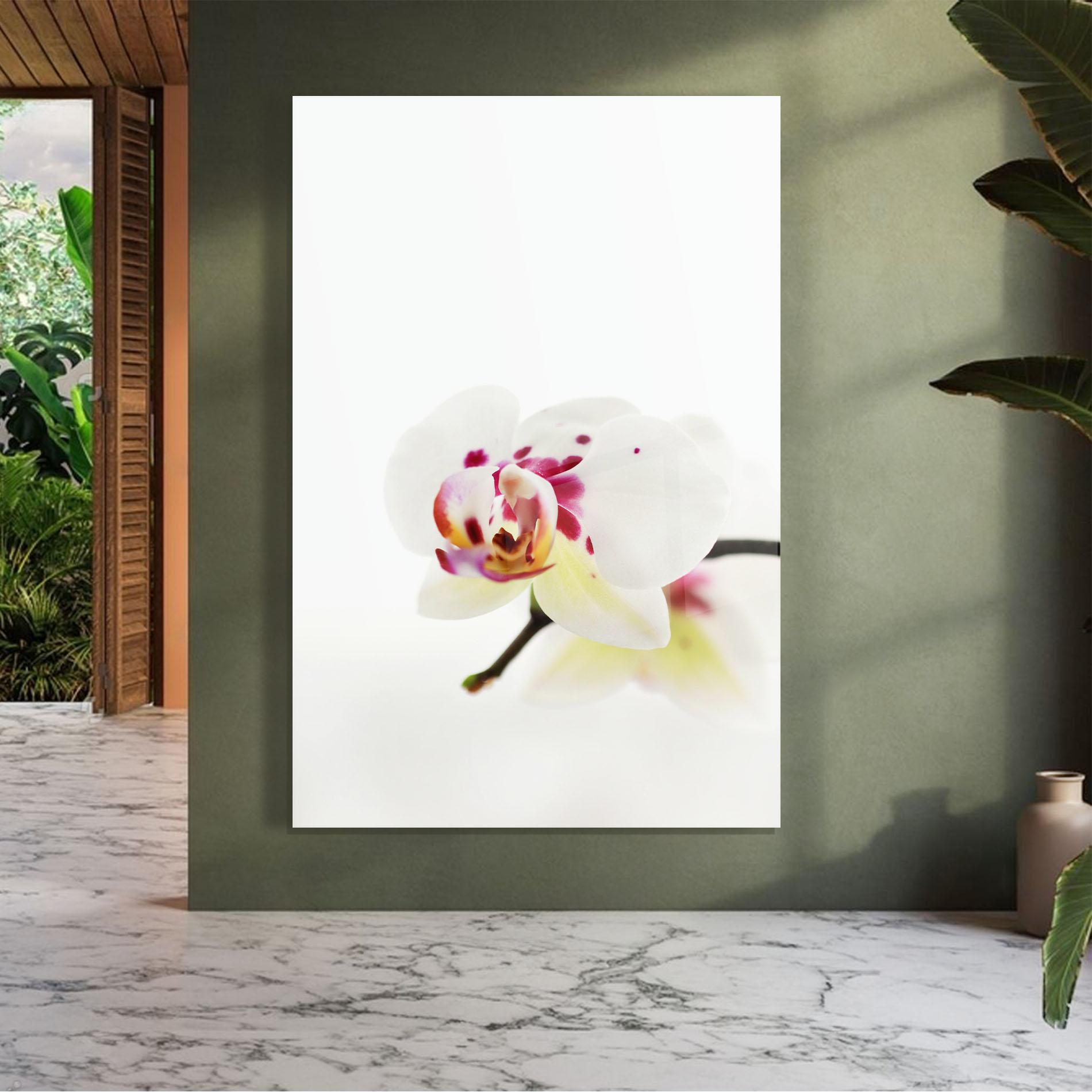 Glasbild Clean White Orchid mockup 7