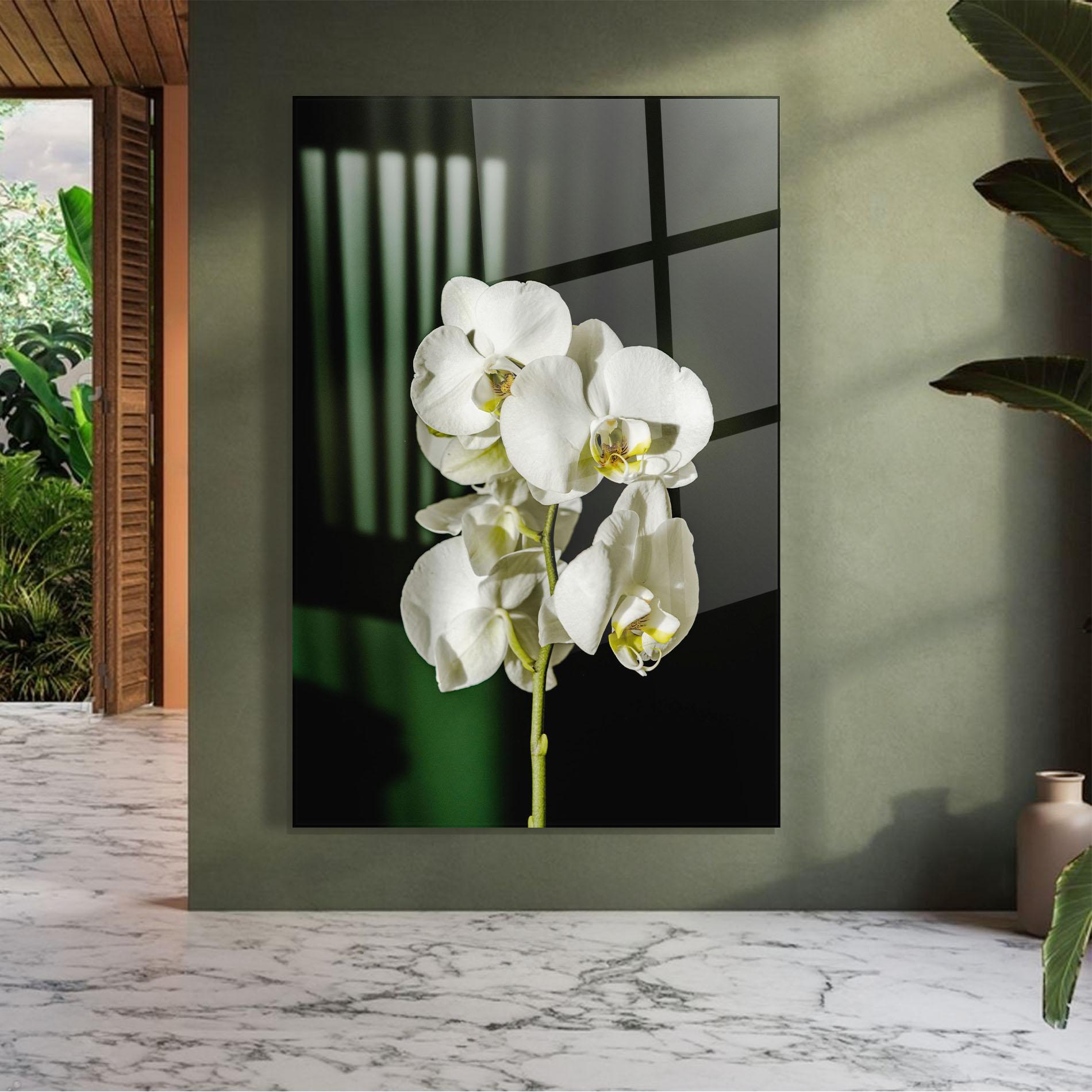 Glasbild Orchid On Green mockup 7