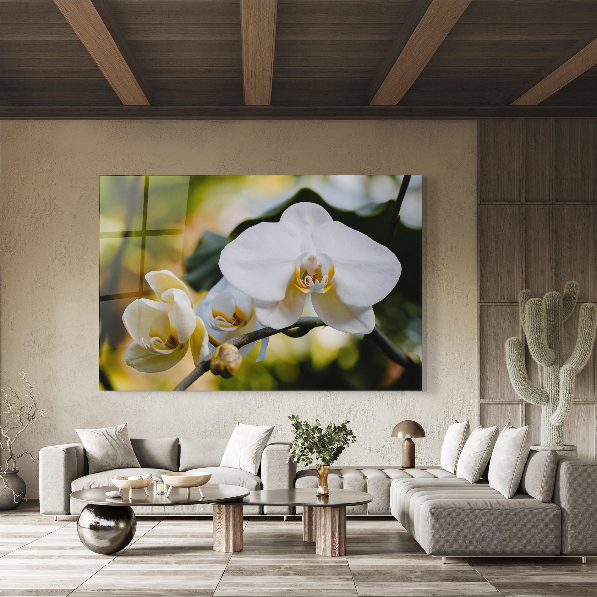 Glasbild Cream Orchid In Nature mockup 8