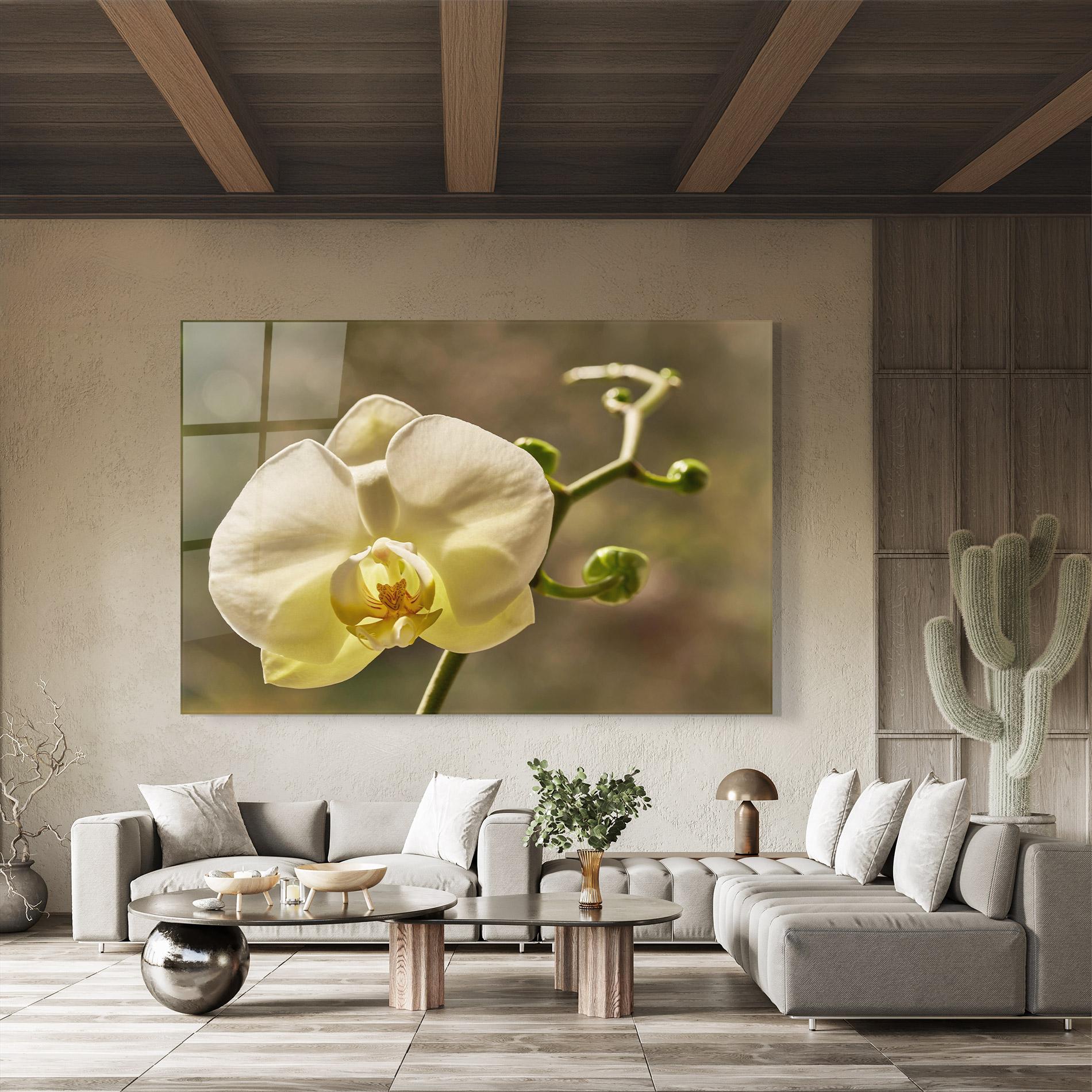 Glasbild Pastel Yellow Orchid In Garden mockup 8