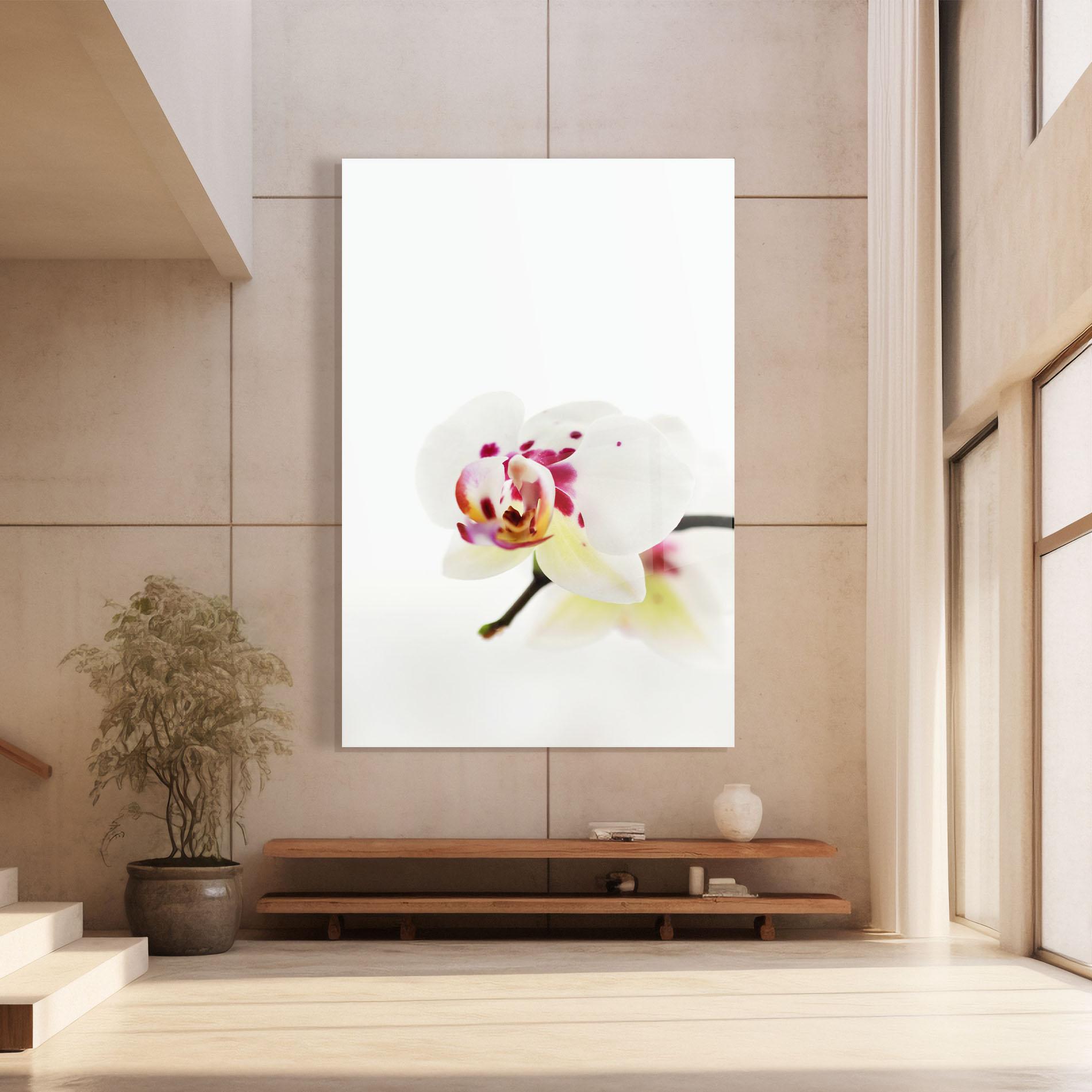 Glasbild Clean White Orchid mockup 8