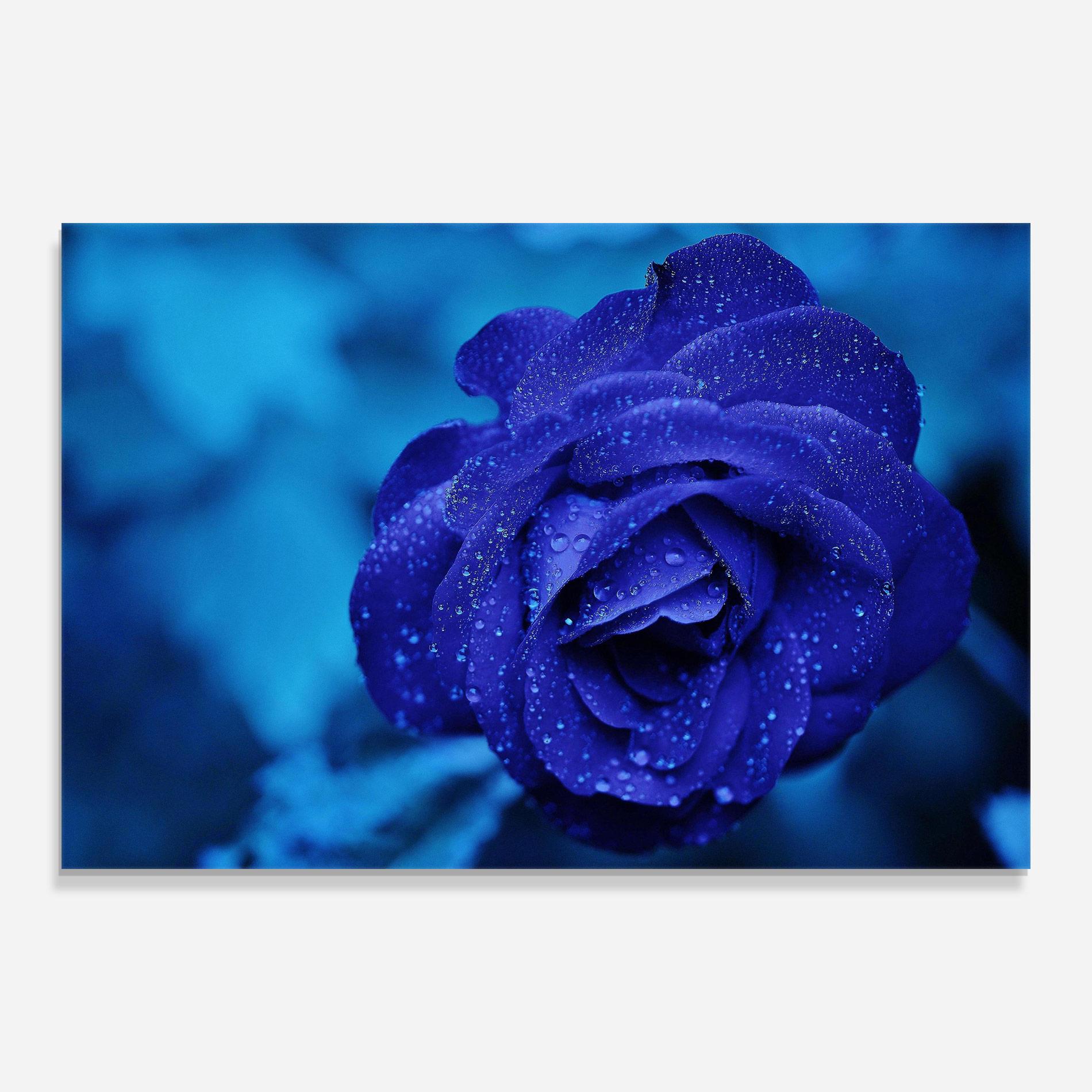 Glasbild Blue Water Rose mockup 0