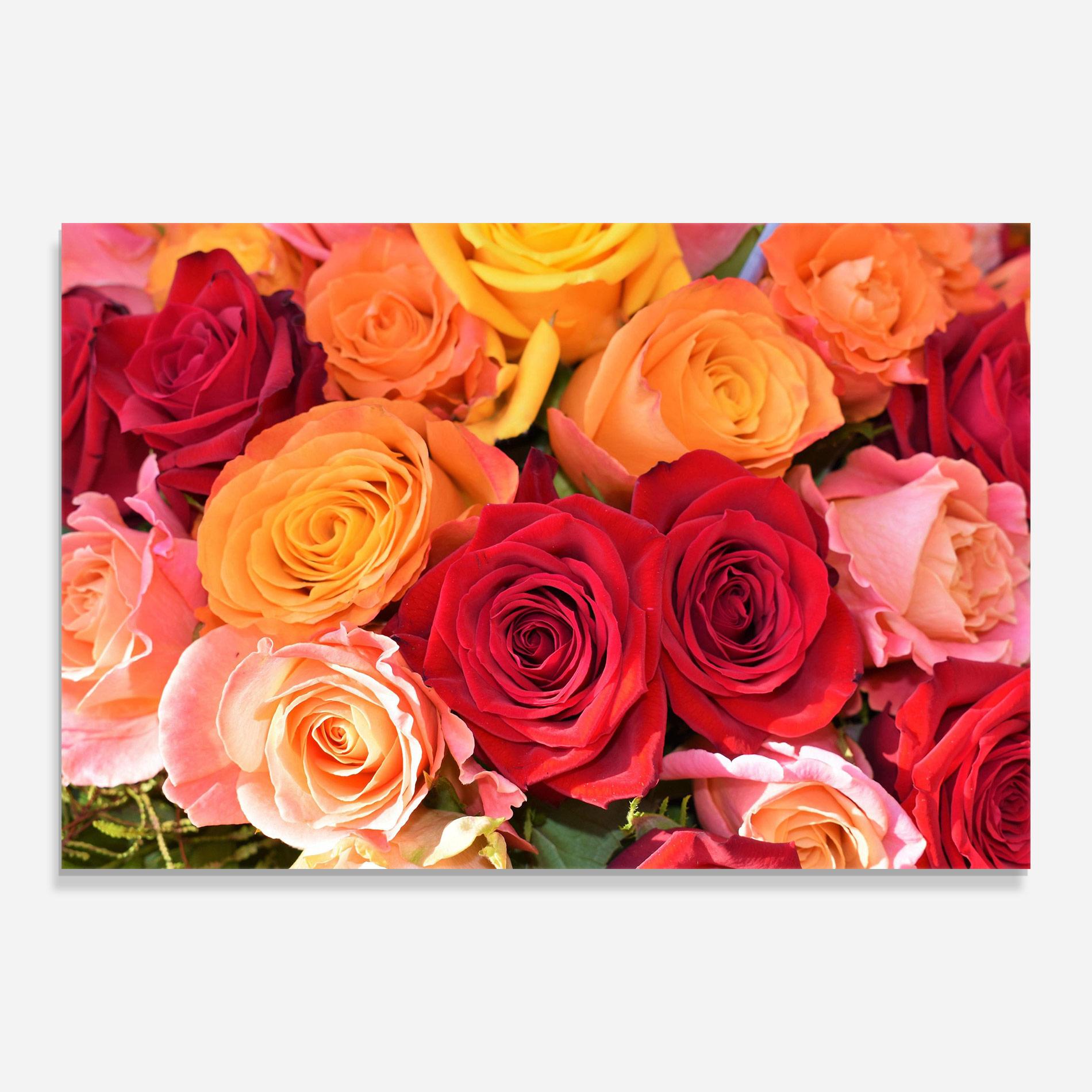 Glasbild Mixed Roses mockup 0