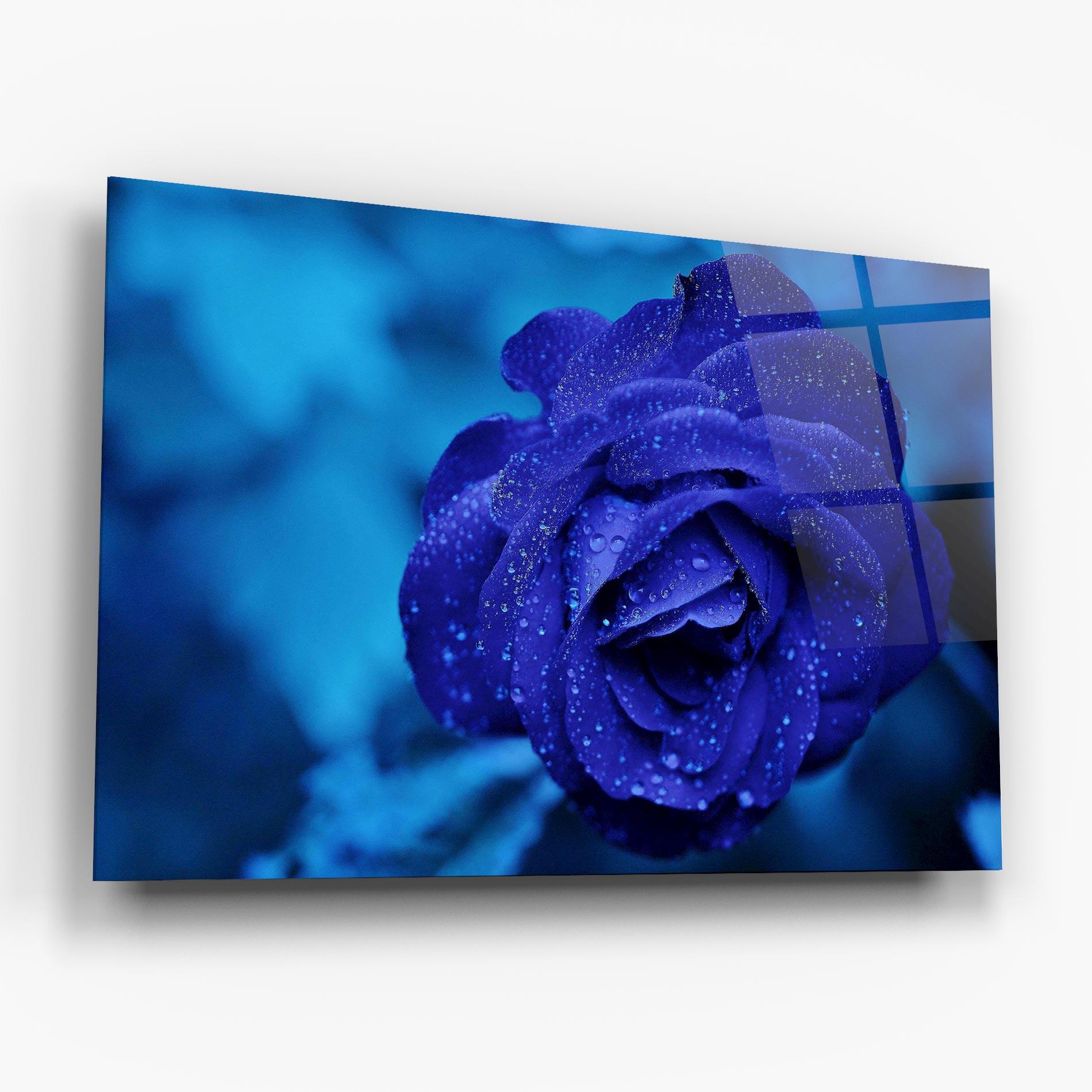 Glasbild Blue Water Rose mockup 6