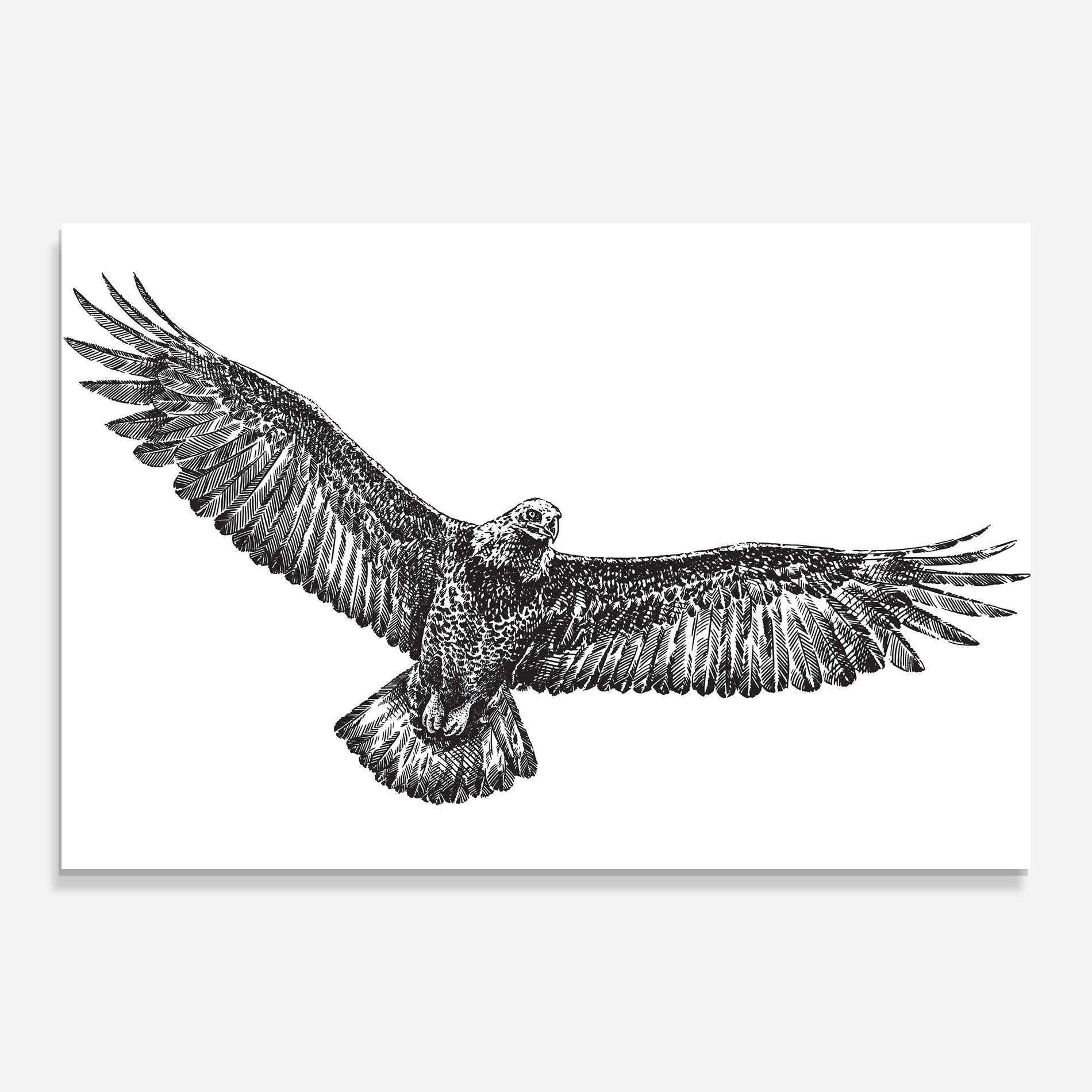 Eagle Art Line mockup 0