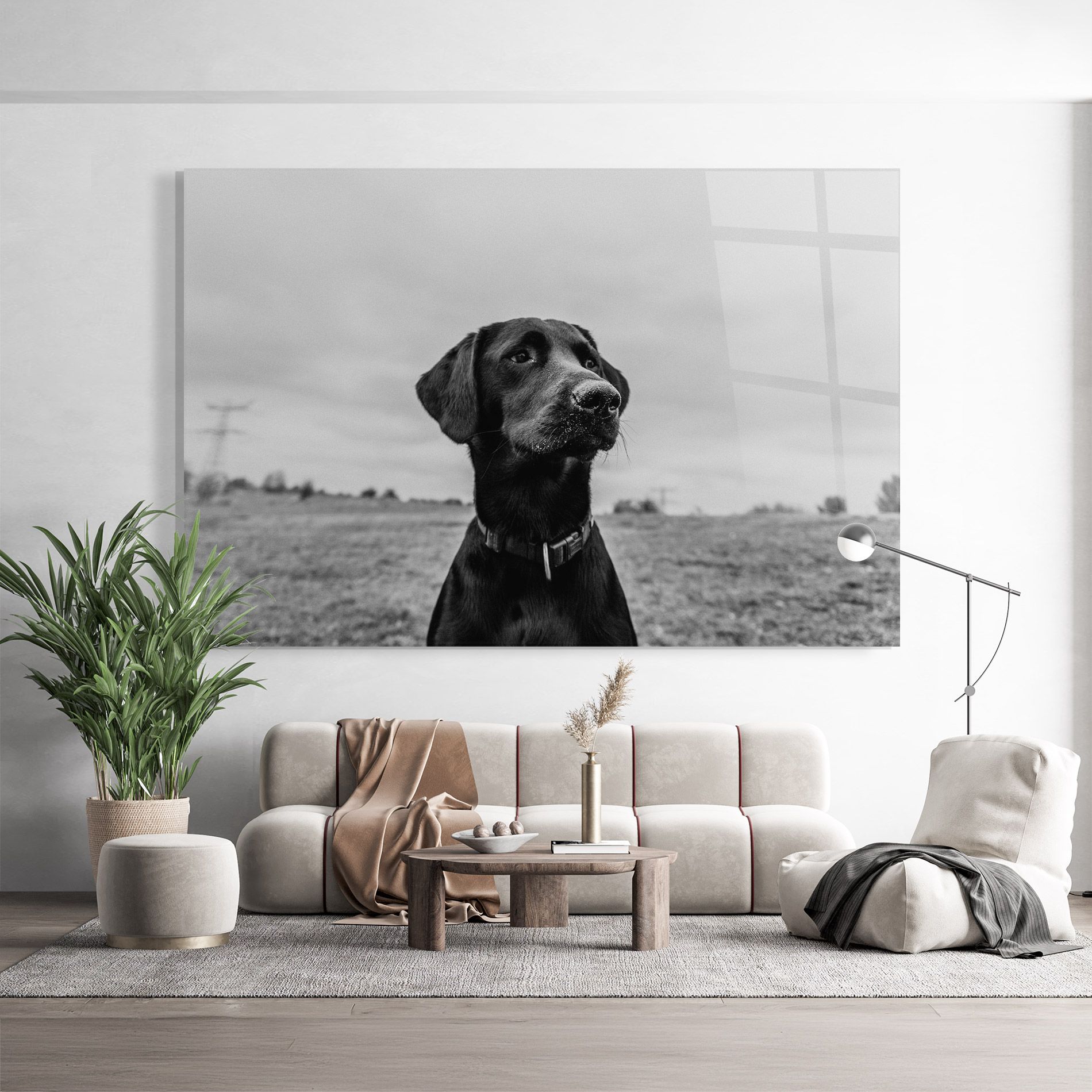 Black Dog mockup 9