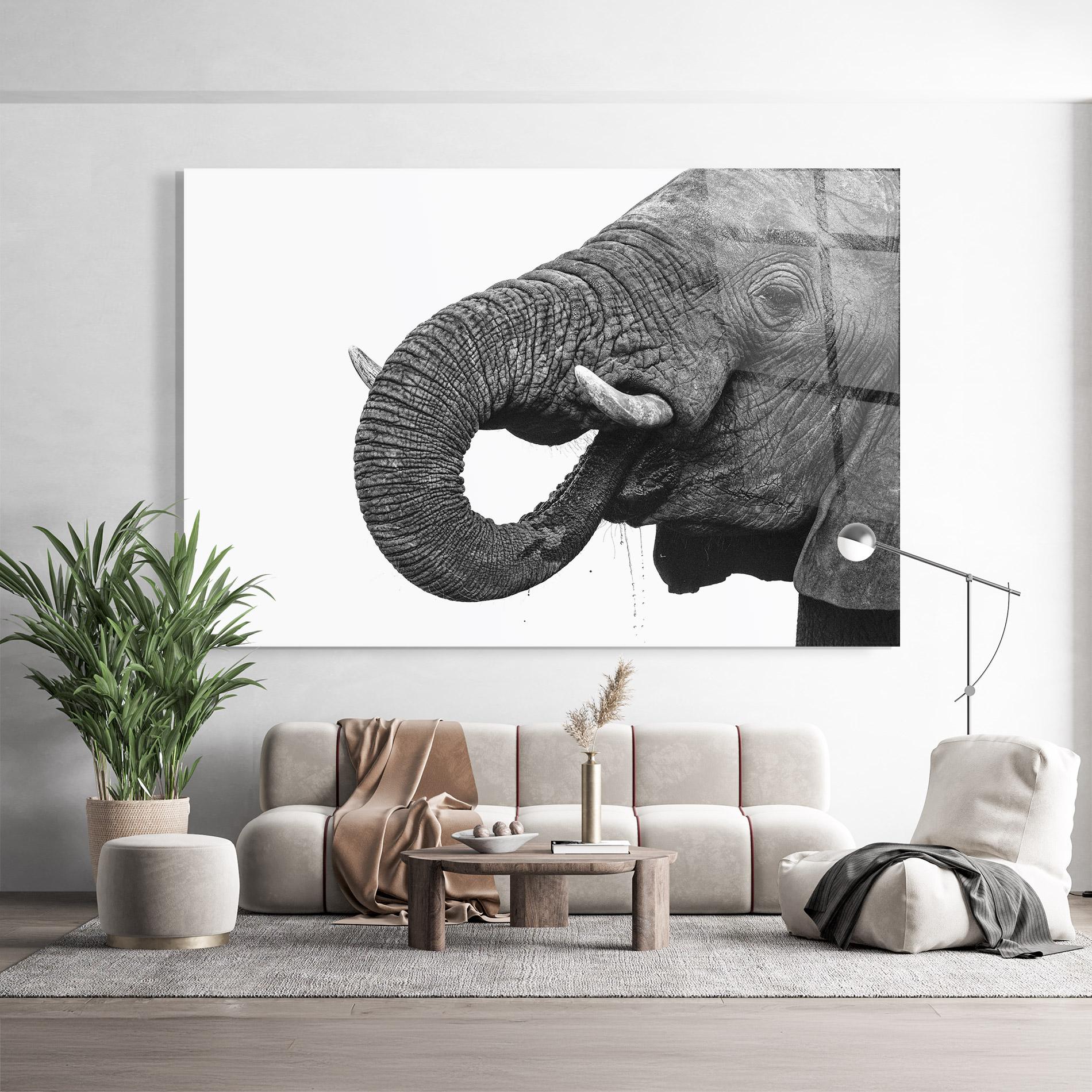 Glasbild Elephant Drinking mockup 9