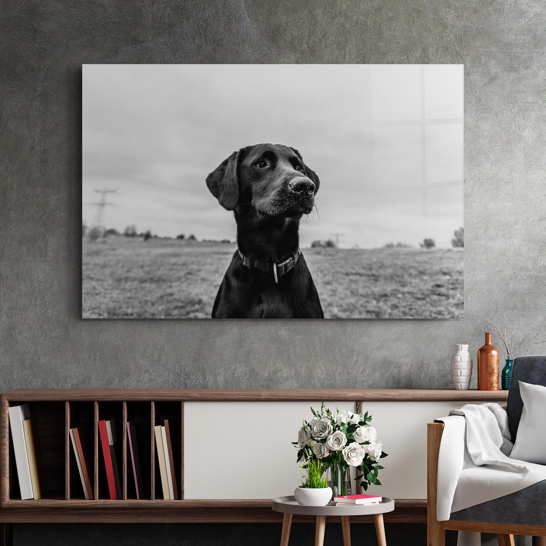 Glasbild Black Dog mockup 2