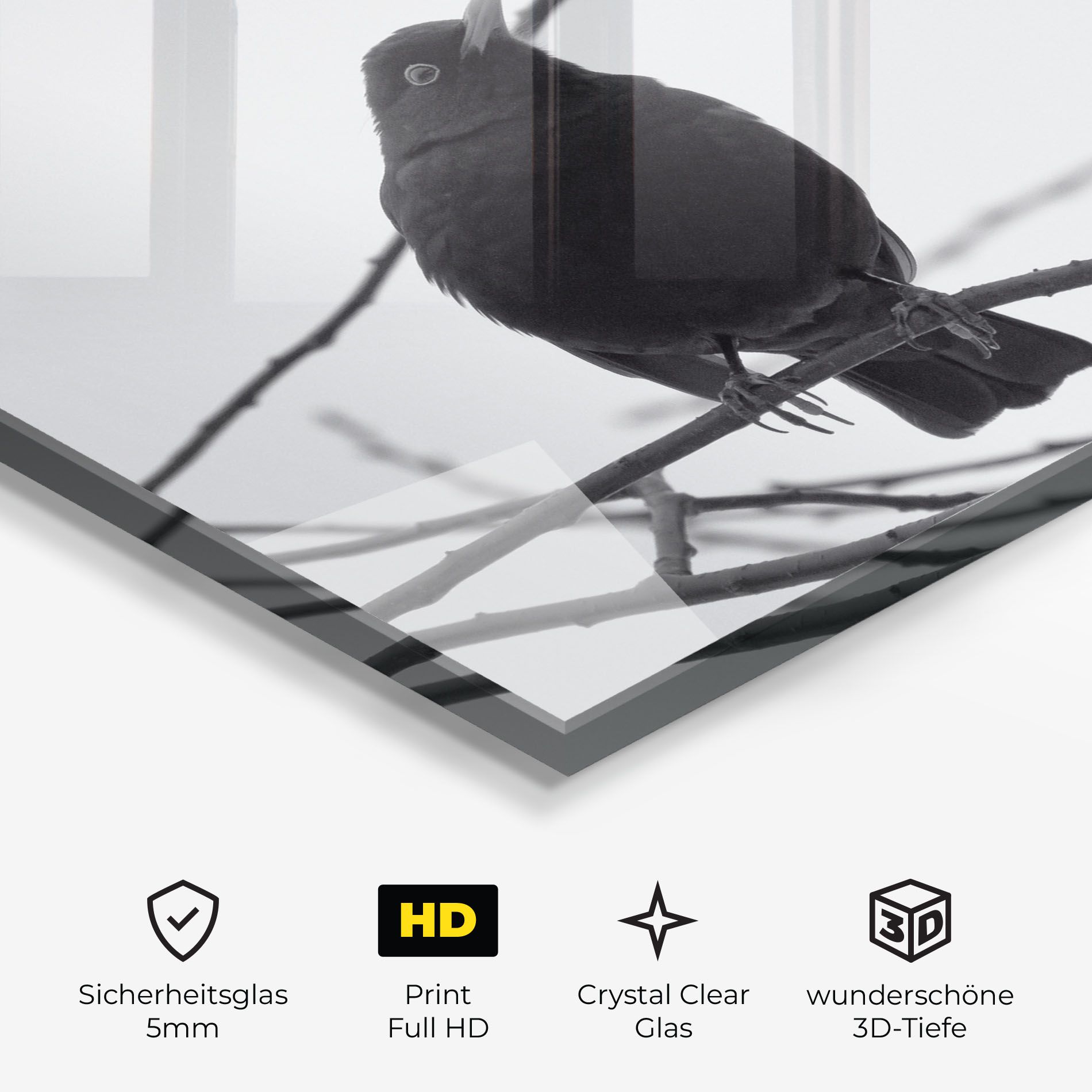 Black Bird mockup 3