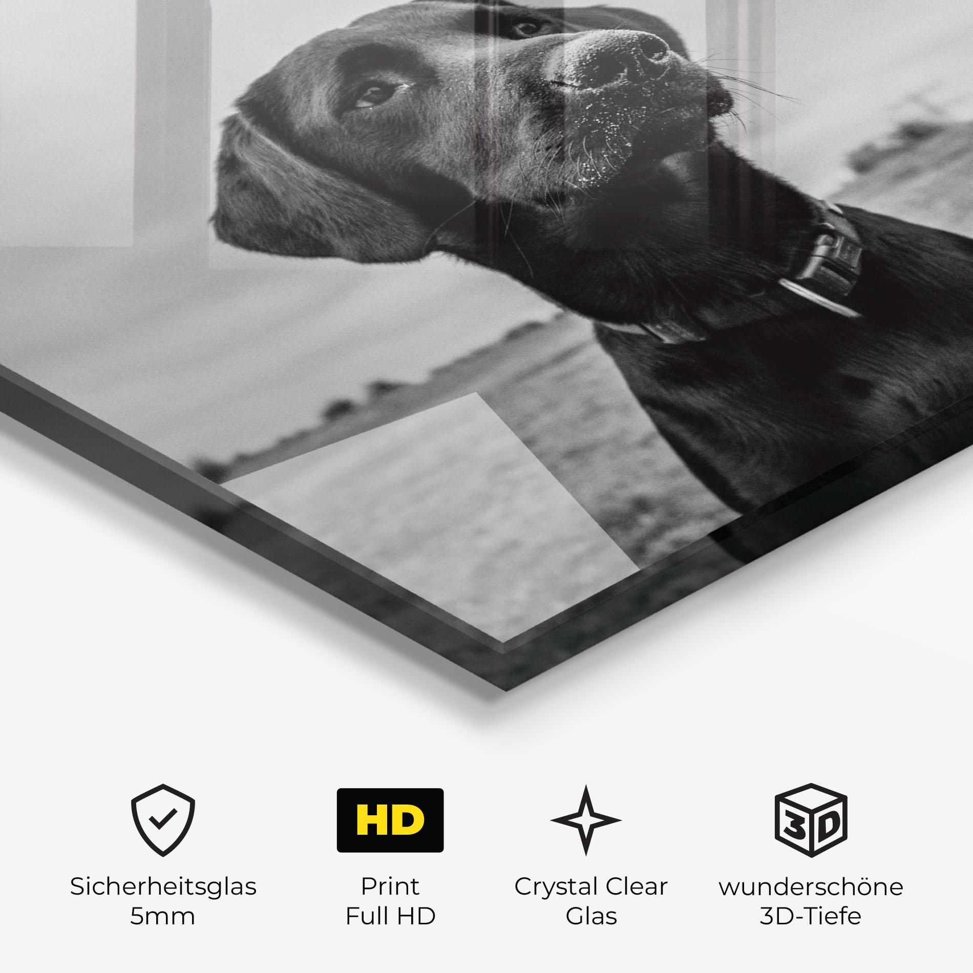 Glasbild Black Dog mockup 3