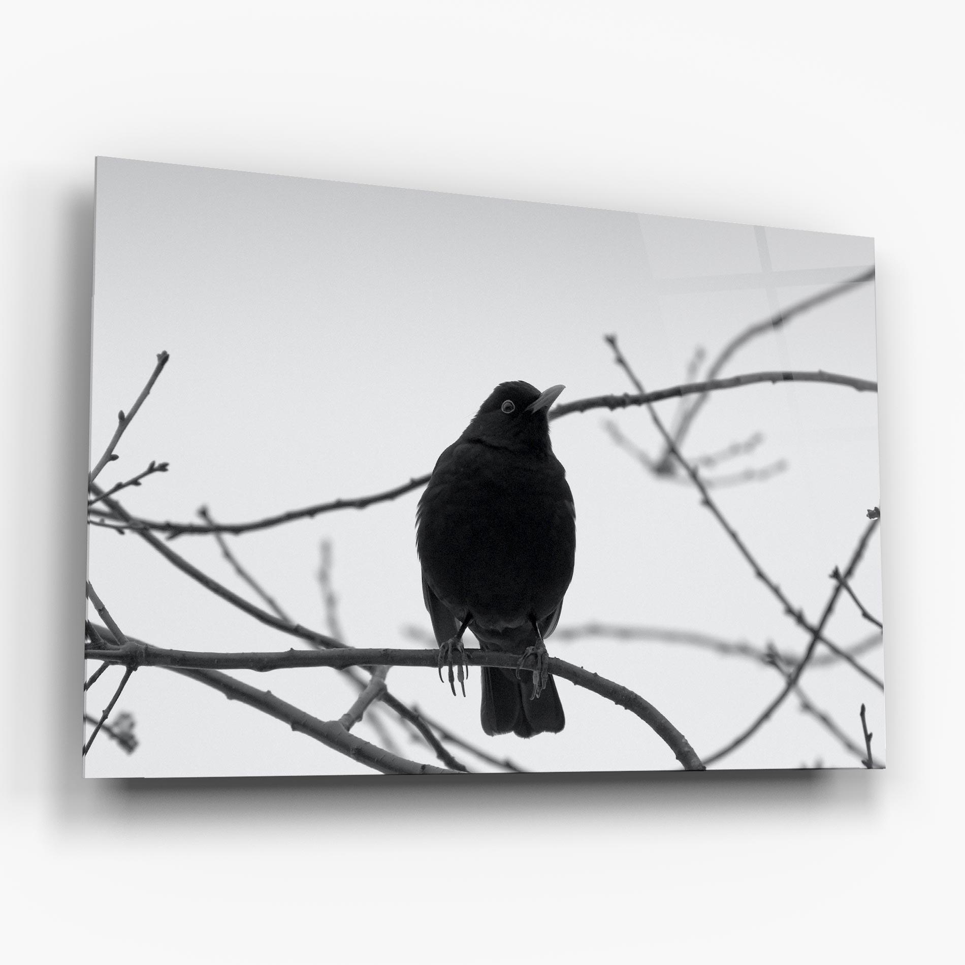 Glasbild Black Bird mockup 6