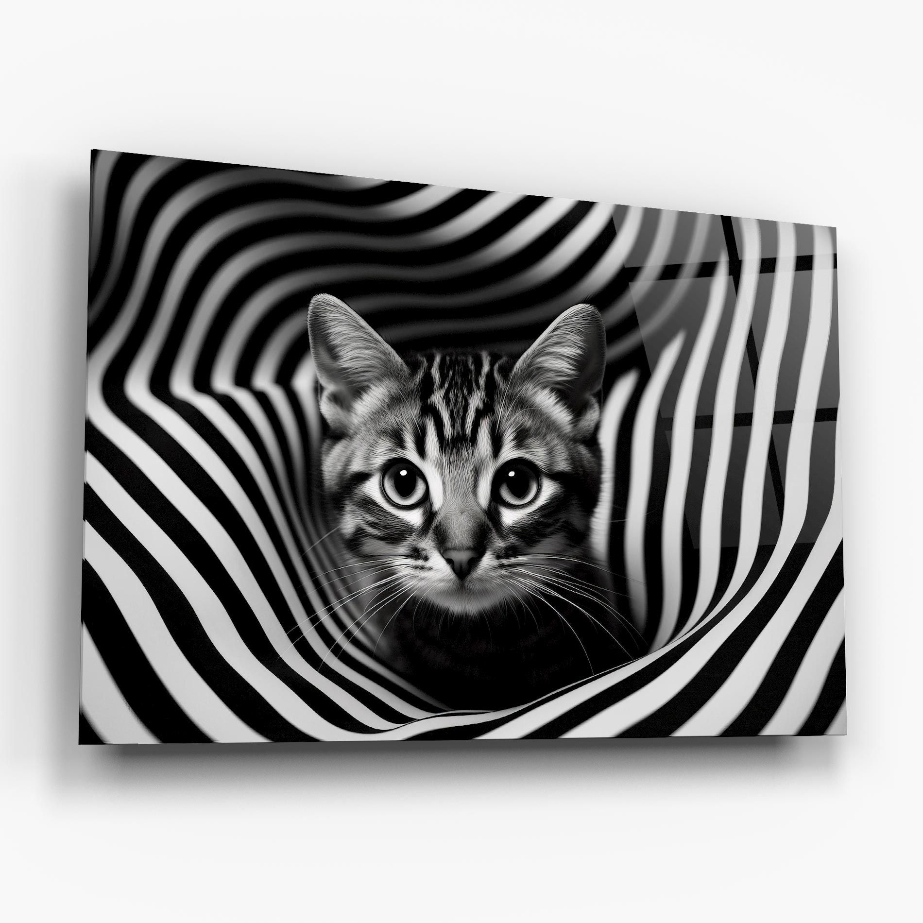 Closeup Cat Portrait mockup 6