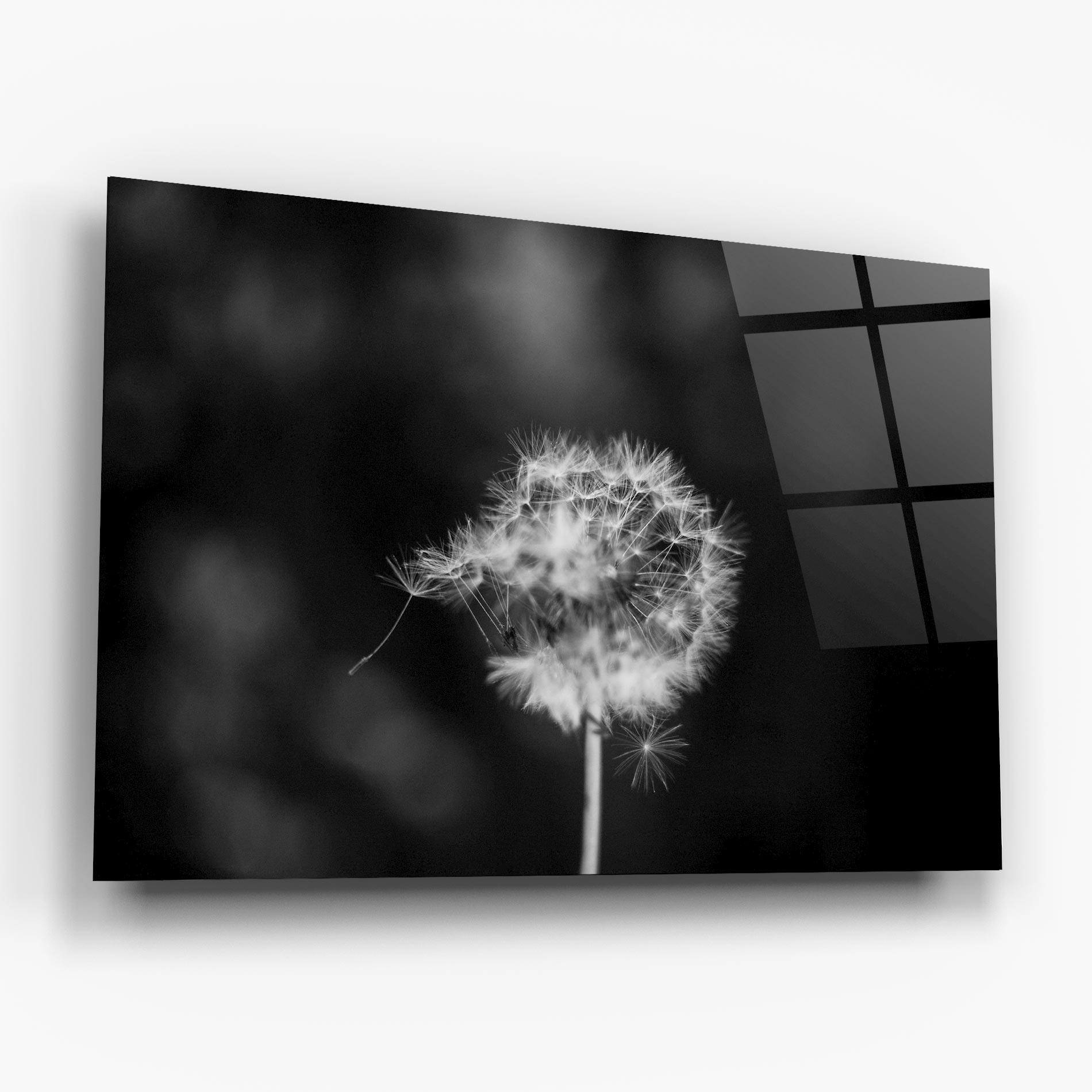 Glasbild Grey Dandelion mockup 6