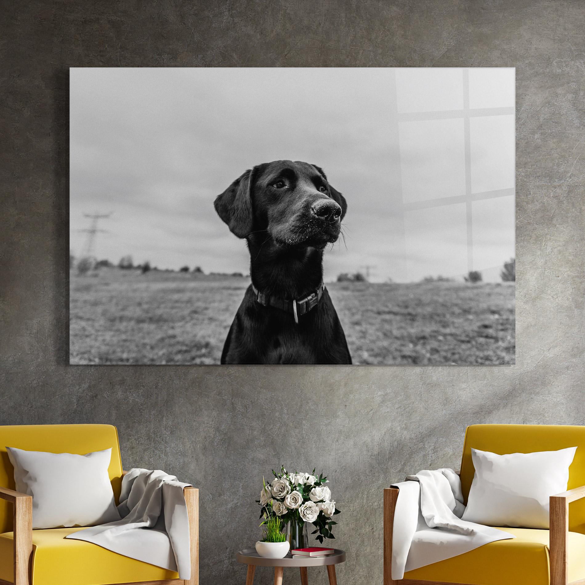 Glasbild Black Dog mockup 4
