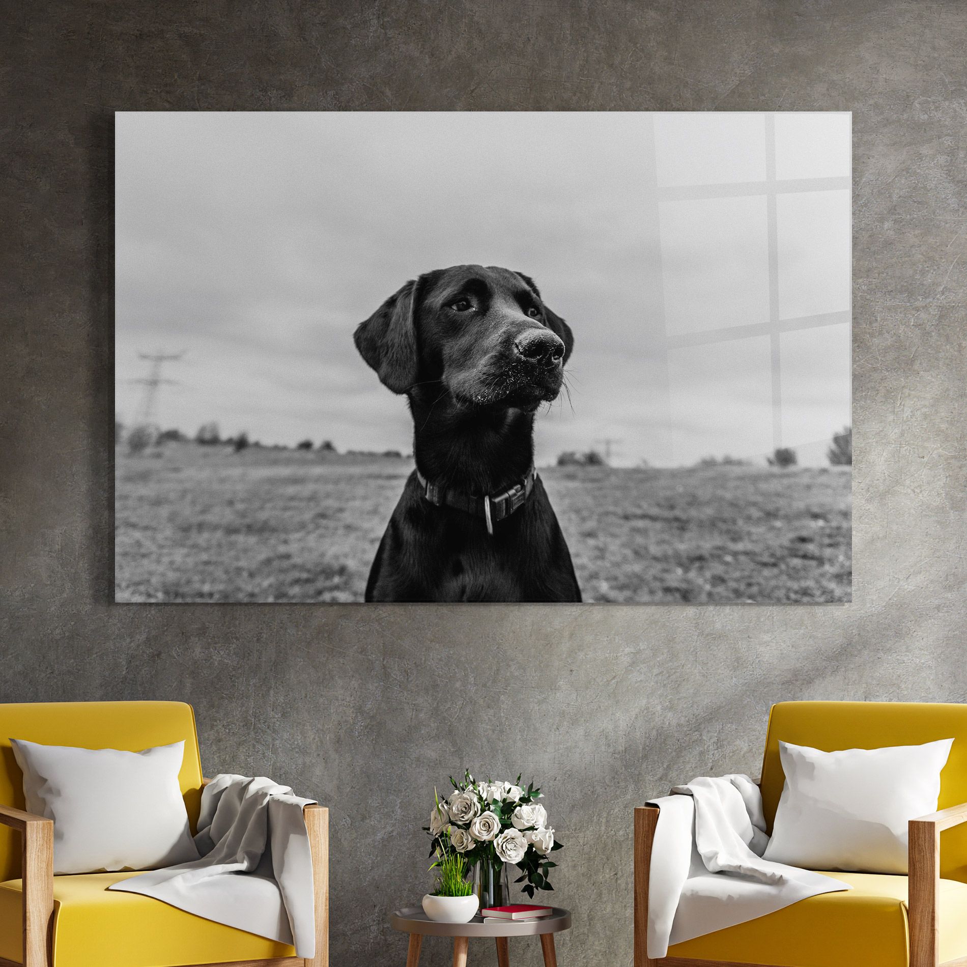 Black Dog mockup 4